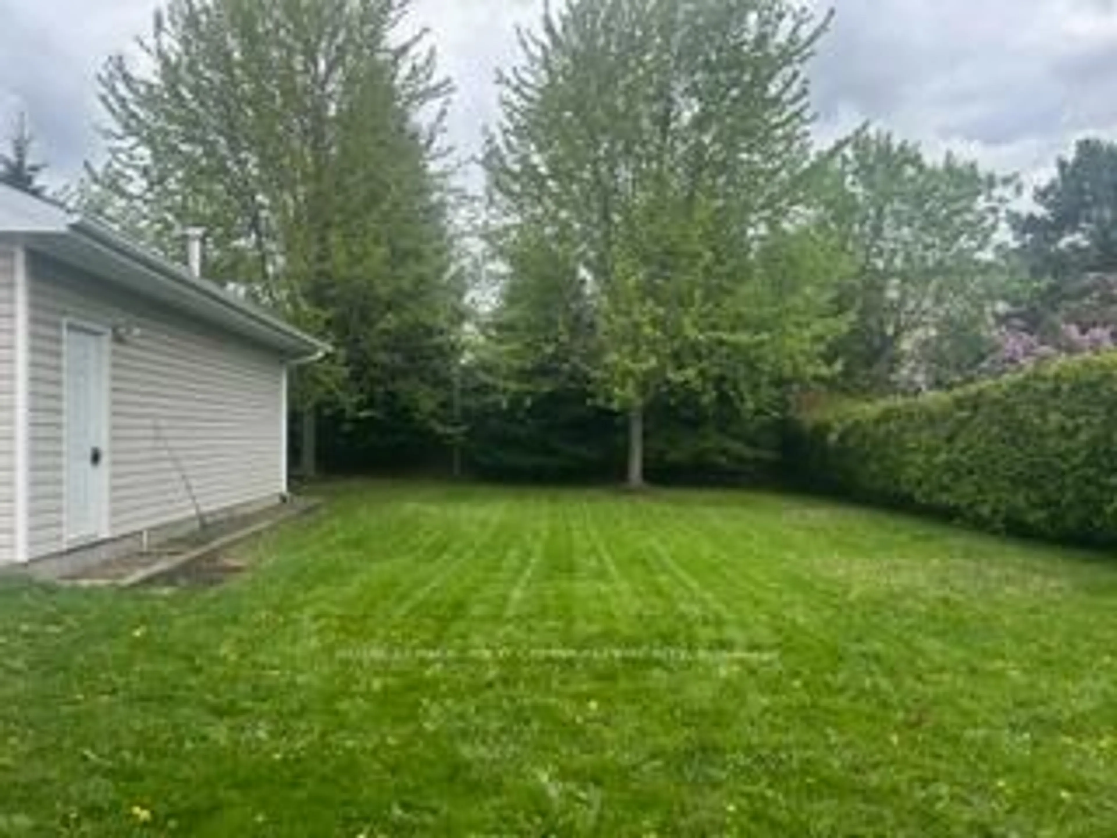 A pic from outside/outdoor area/front of a property/back of a property/a pic from drone, forest/trees view for 139 Queen St, Newmarket Ontario L3Y 2E9