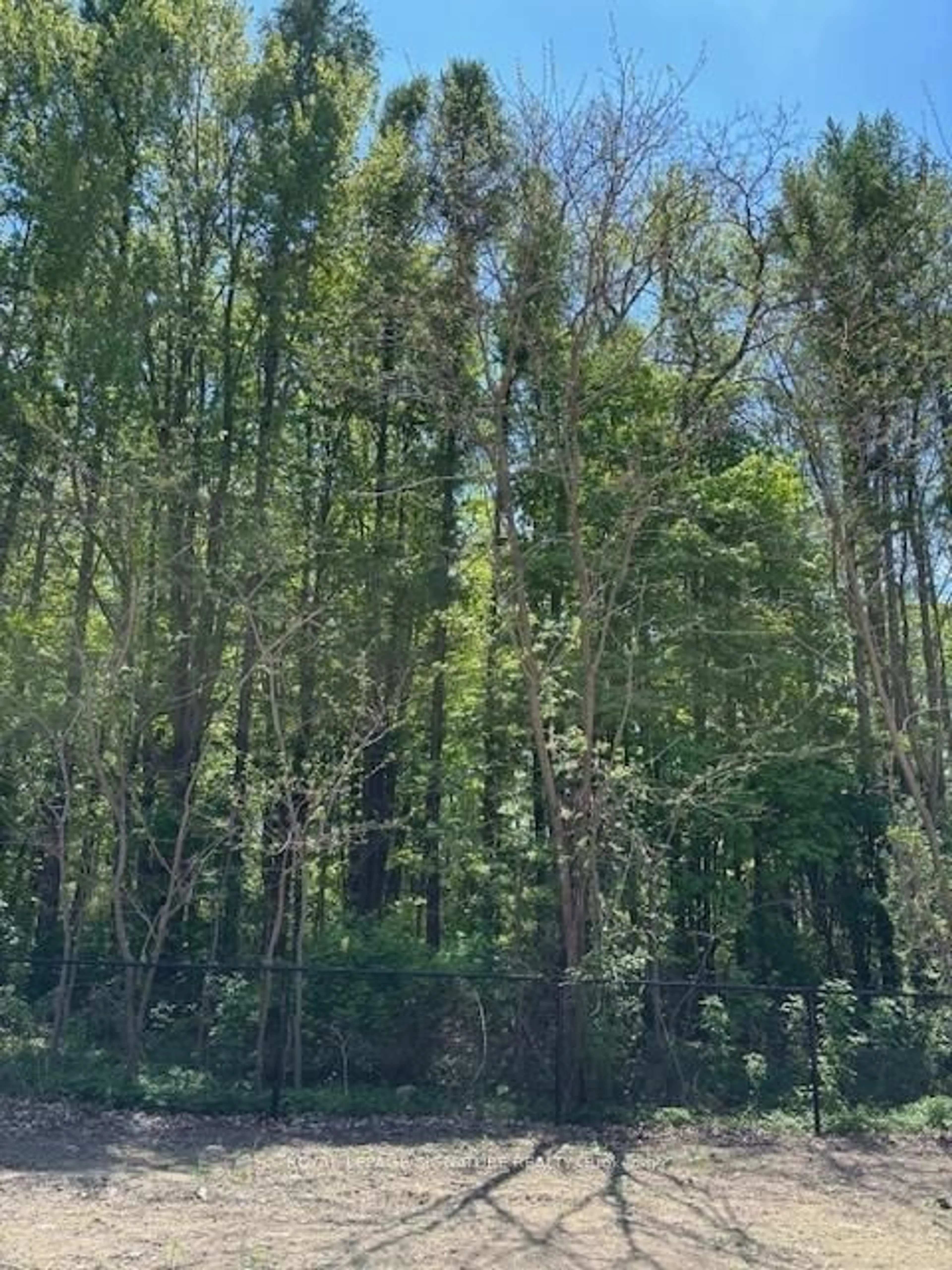 Unknown for 13 Elm Green Lane, Markham Ontario L6C 3L5