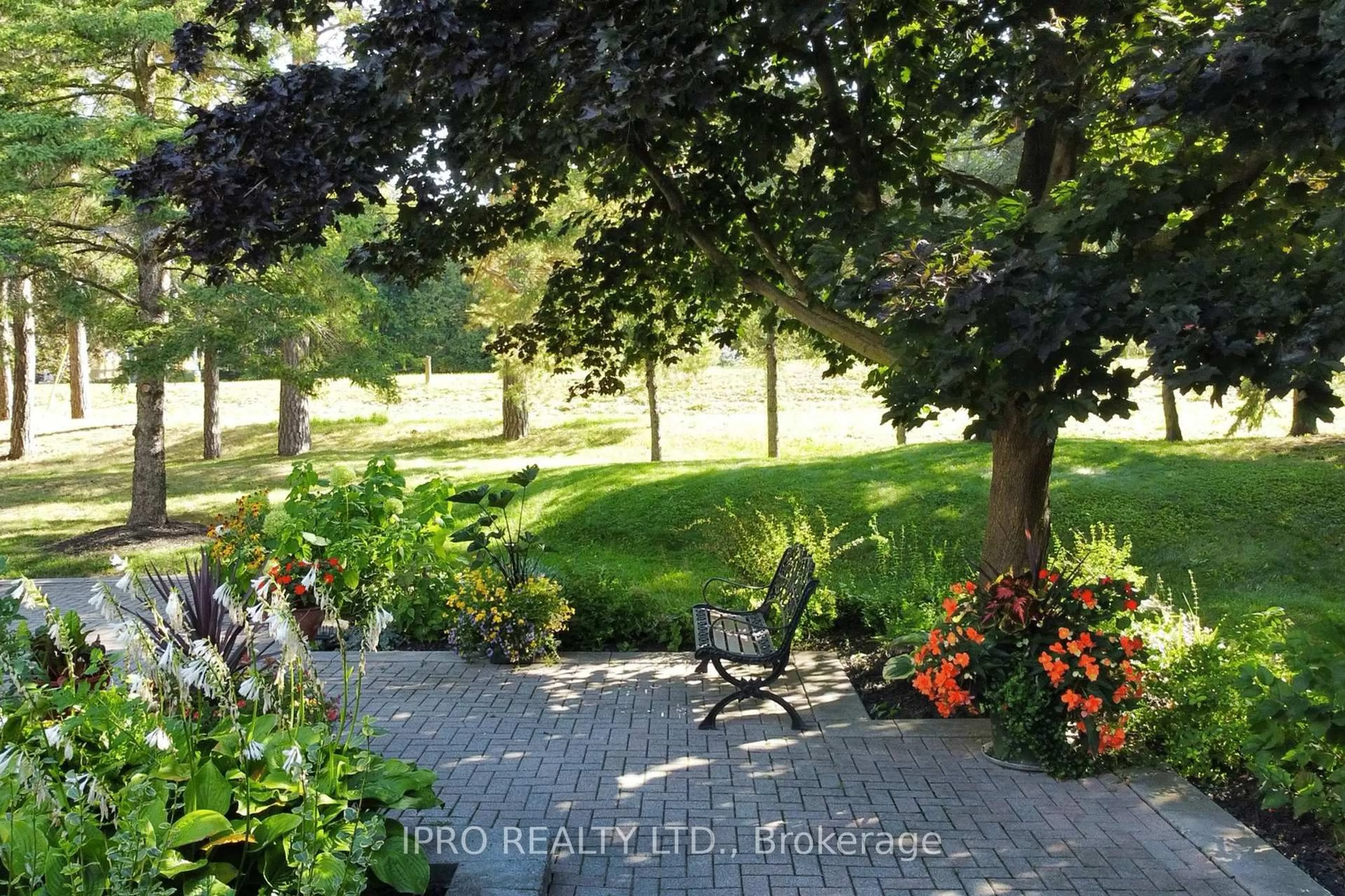 Patio, forest/trees view for 44 Rodcliff Rd, New Tecumseth Ontario L0G 1W0