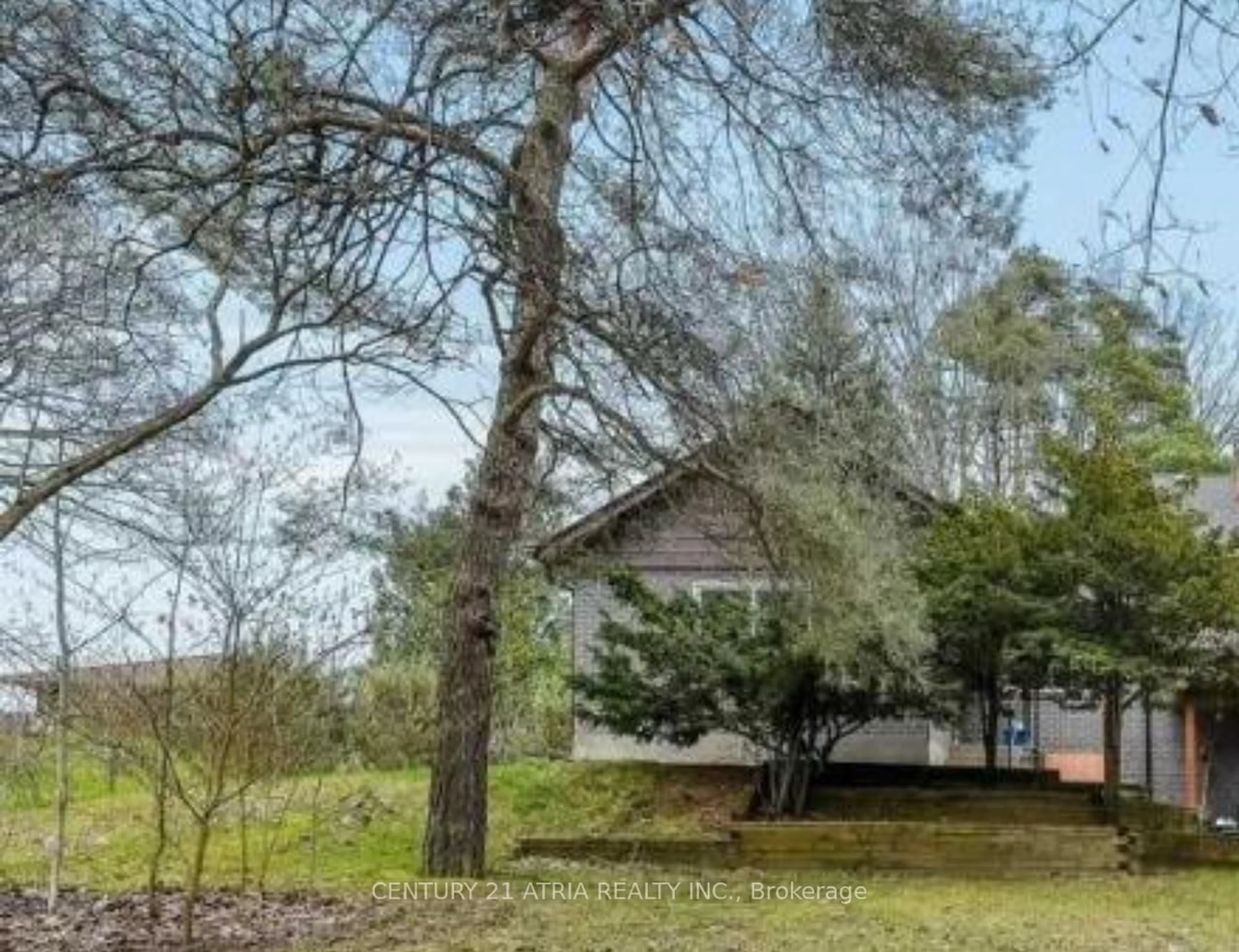 A pic from outside/outdoor area/front of a property/back of a property/a pic from drone, forest/trees view for 14178 Yonge St, Aurora Ontario L4G 0P5