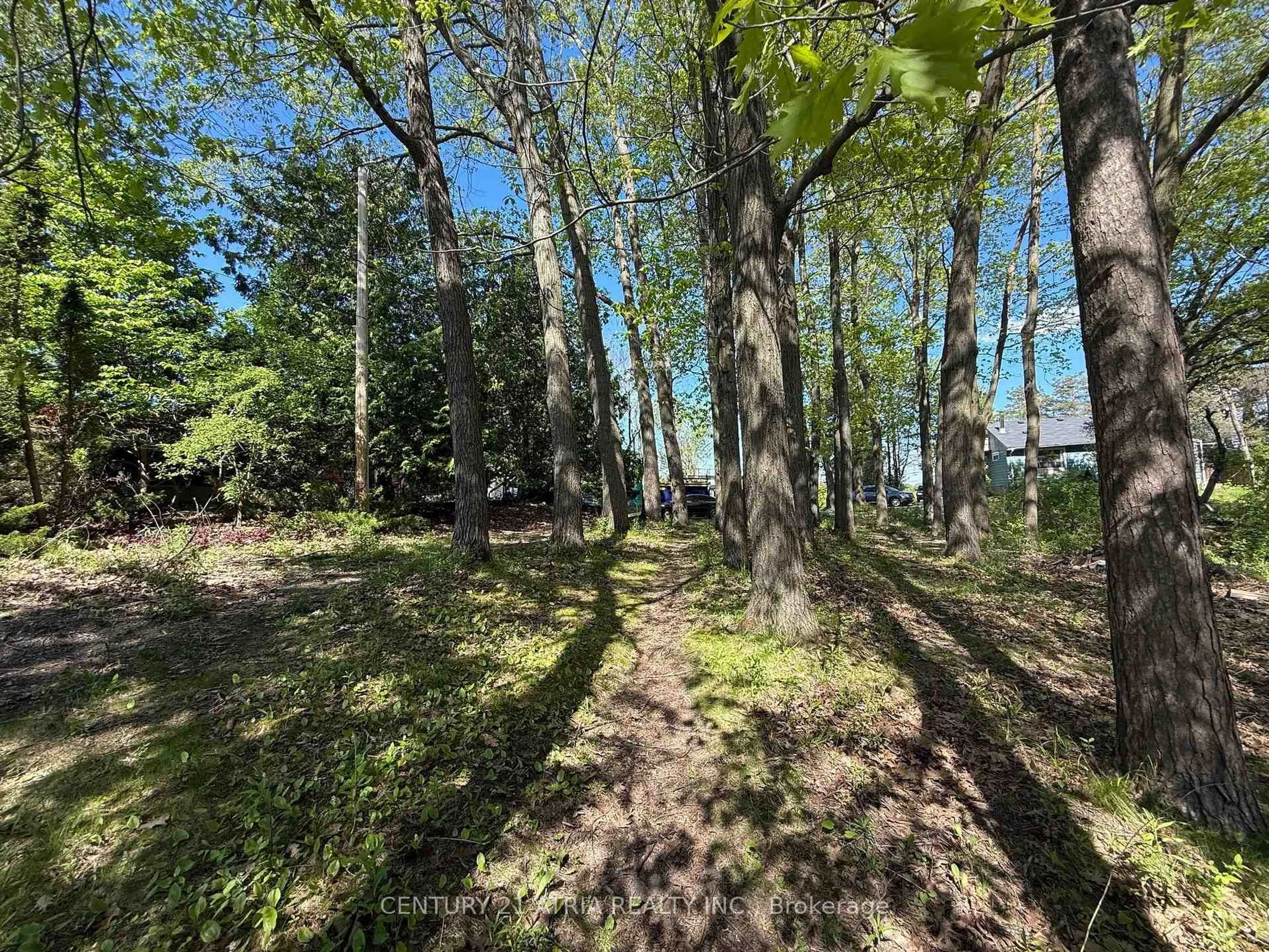 A pic from outside/outdoor area/front of a property/back of a property/a pic from drone, forest/trees view for 14178 Yonge St, Aurora Ontario L4G 0P5