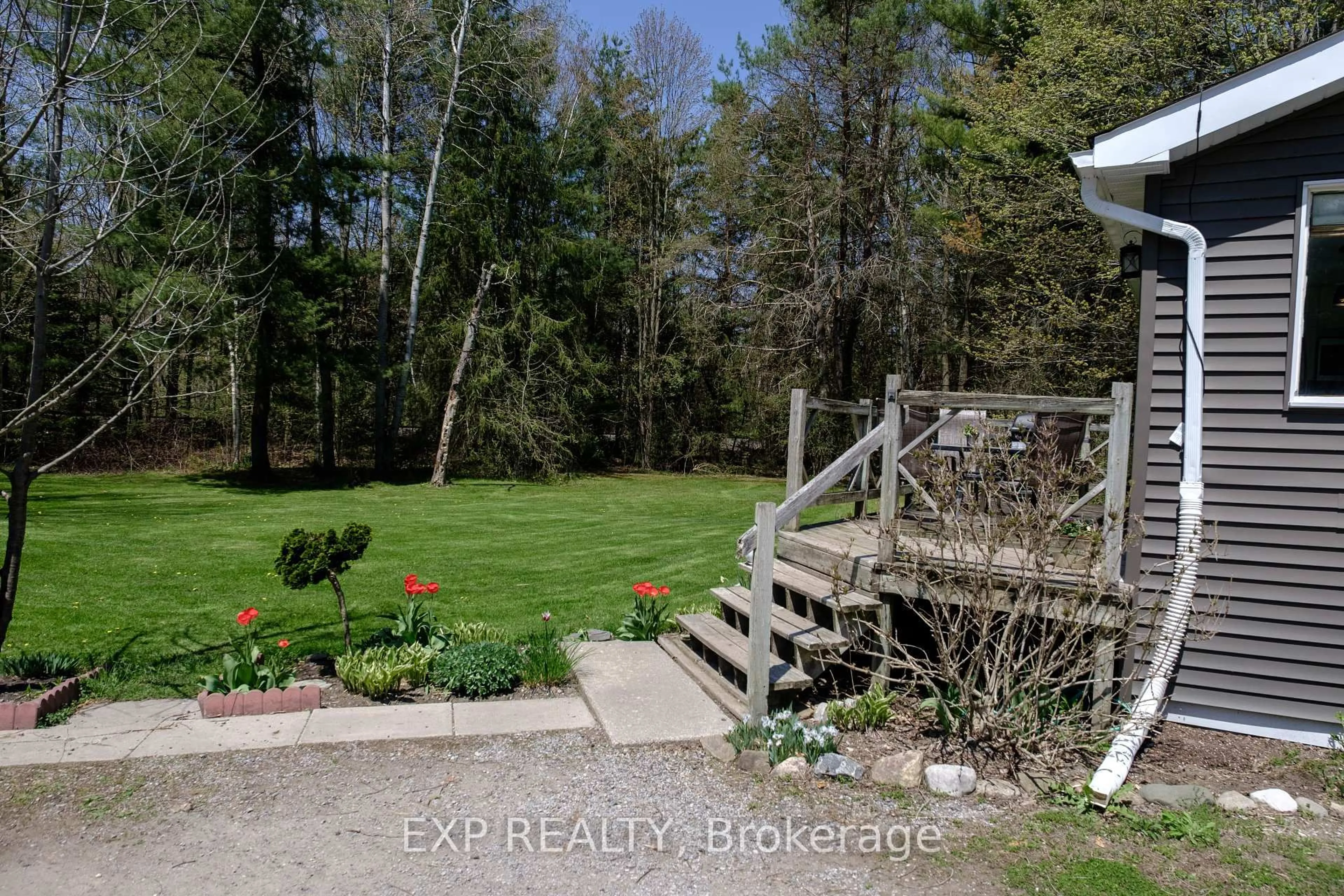 A pic from outside/outdoor area/front of a property/back of a property/a pic from drone, forest/trees view for 72 Station Rd, Georgina Ontario L0E 1N0