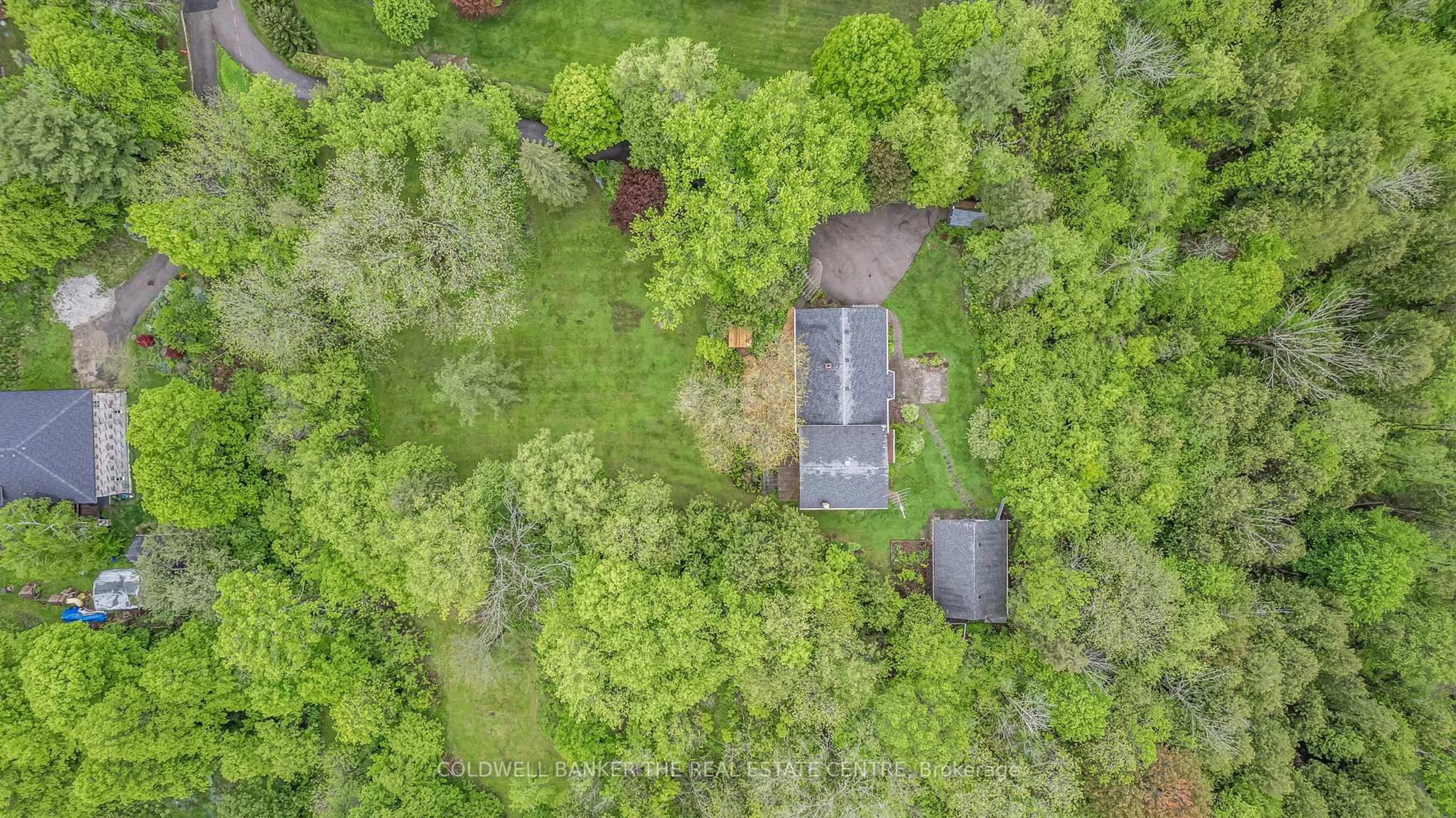 A pic from outside/outdoor area/front of a property/back of a property/a pic from drone, forest/trees view for 55 Old Church Rd, King Ontario L7B 1K4