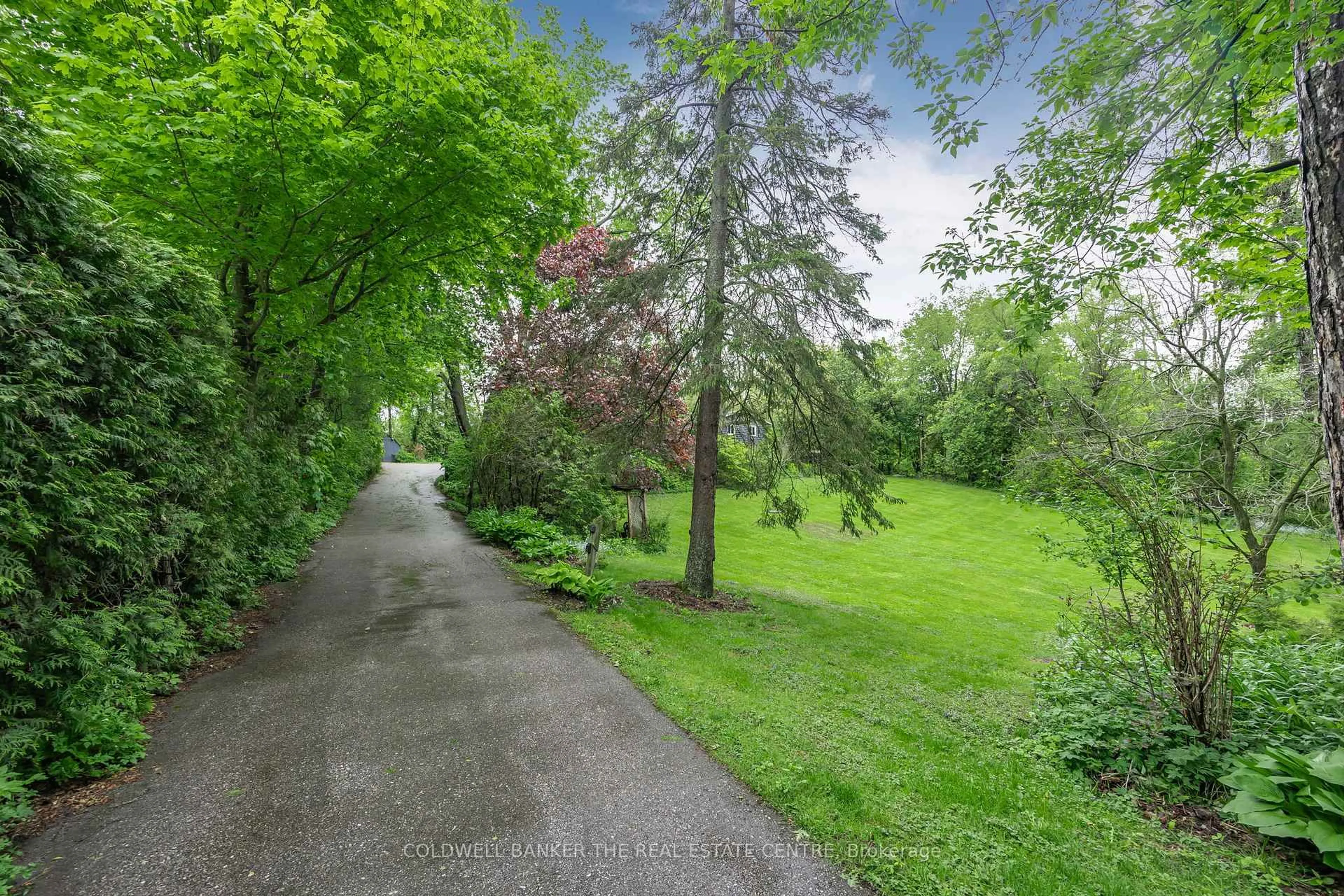 Patio, forest/trees view for 55 Old Church Rd, King Ontario L7B 1K4
