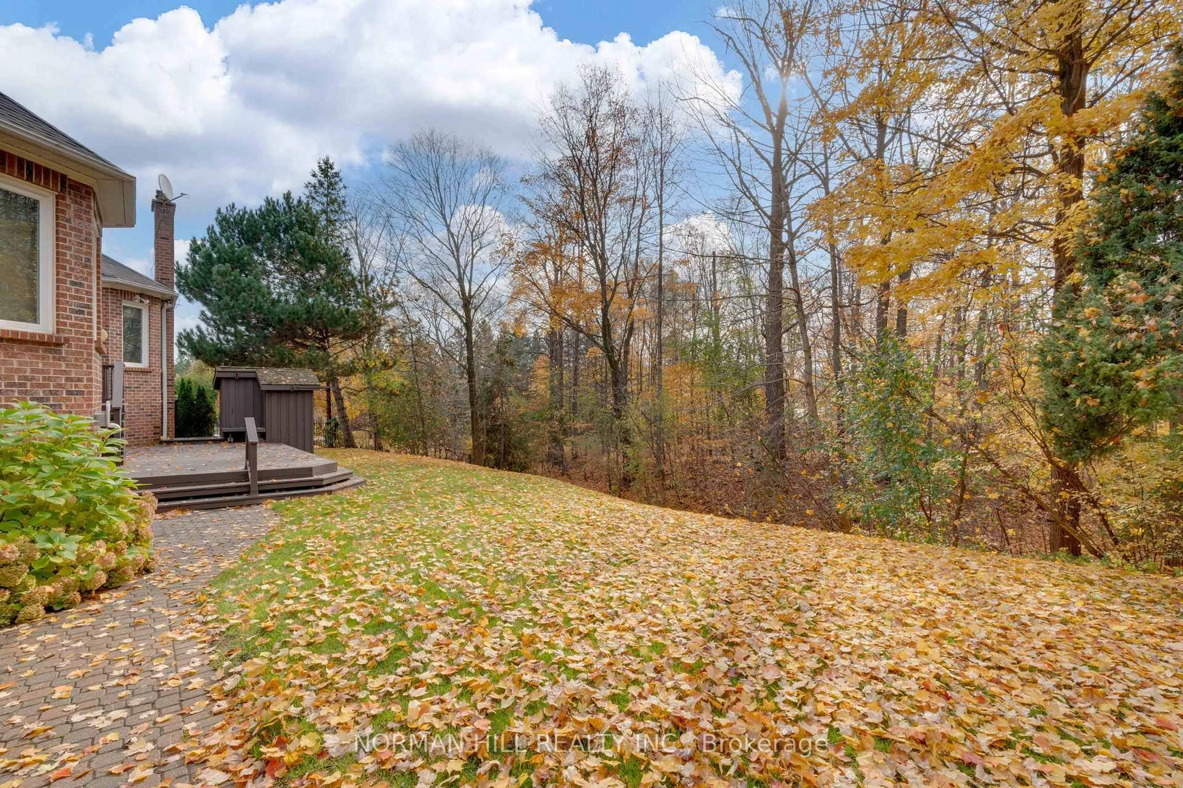 Patio, forest/trees view for 71 Willow Farm Lane, Aurora Ontario L4G 6K2