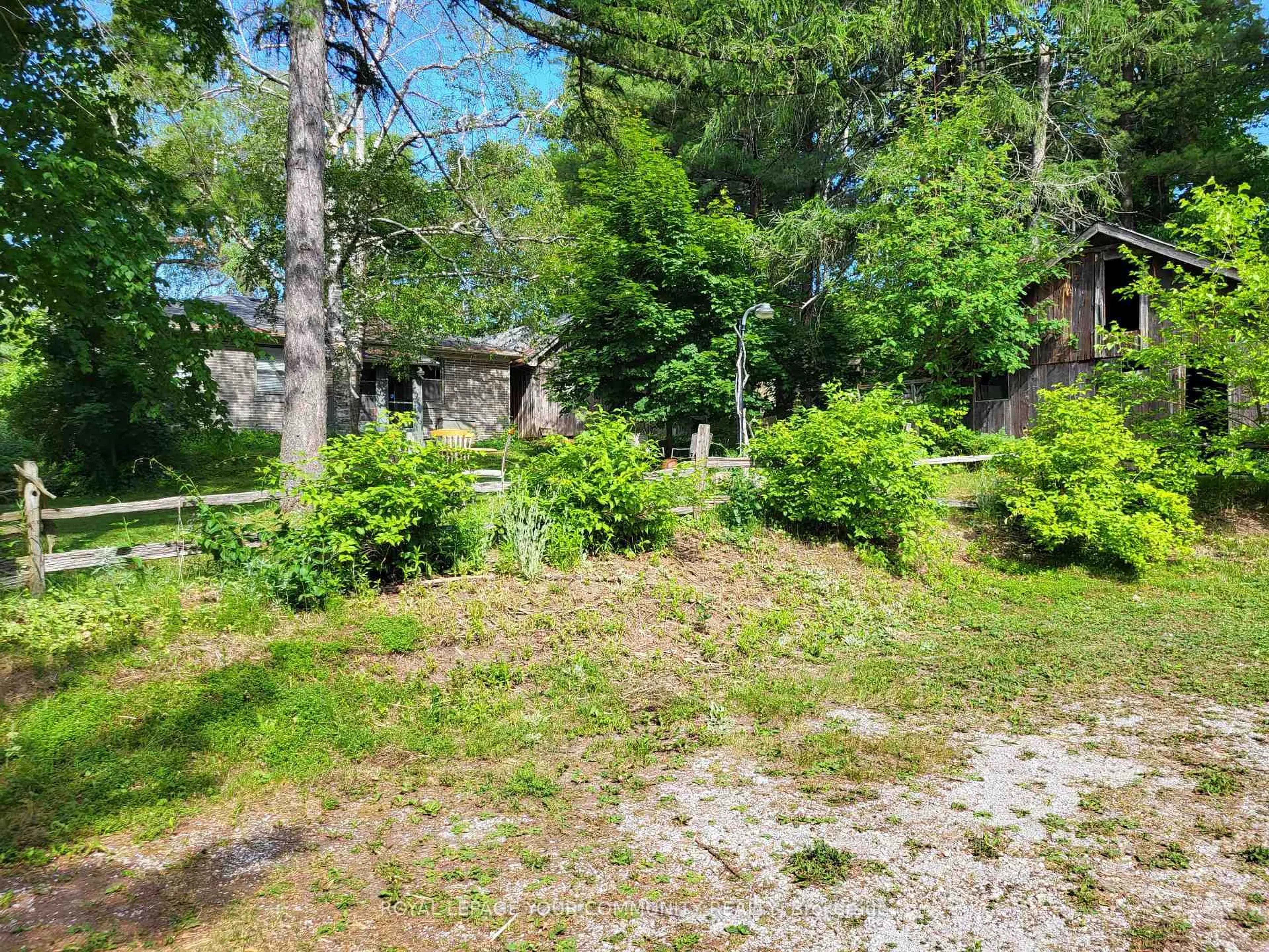 A pic from outside/outdoor area/front of a property/back of a property/a pic from drone, forest/trees view for 11419 Bathurst St, Richmond Hill Ontario L4S 1J9