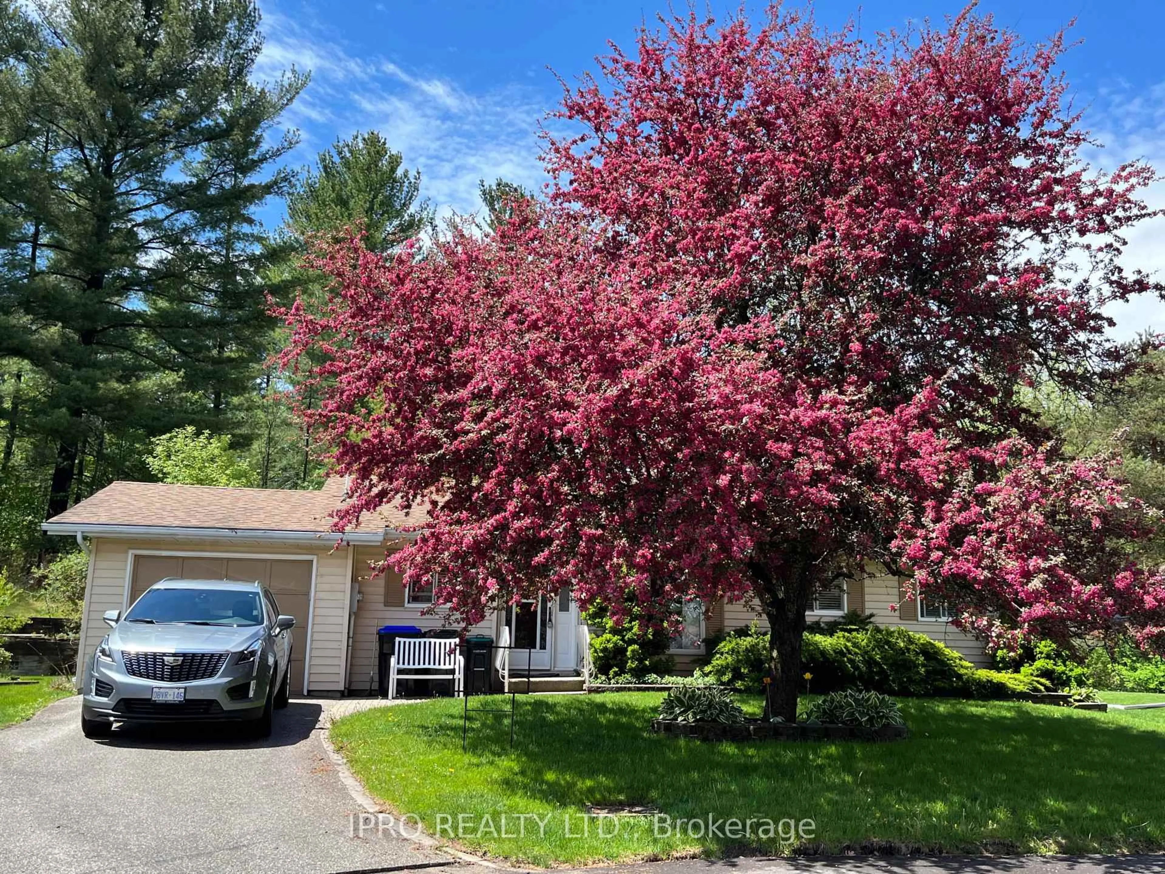 A pic from outside/outdoor area/front of a property/back of a property/a pic from drone, street for 9 Balsam Crt, New Tecumseth Ontario L0G 1W0