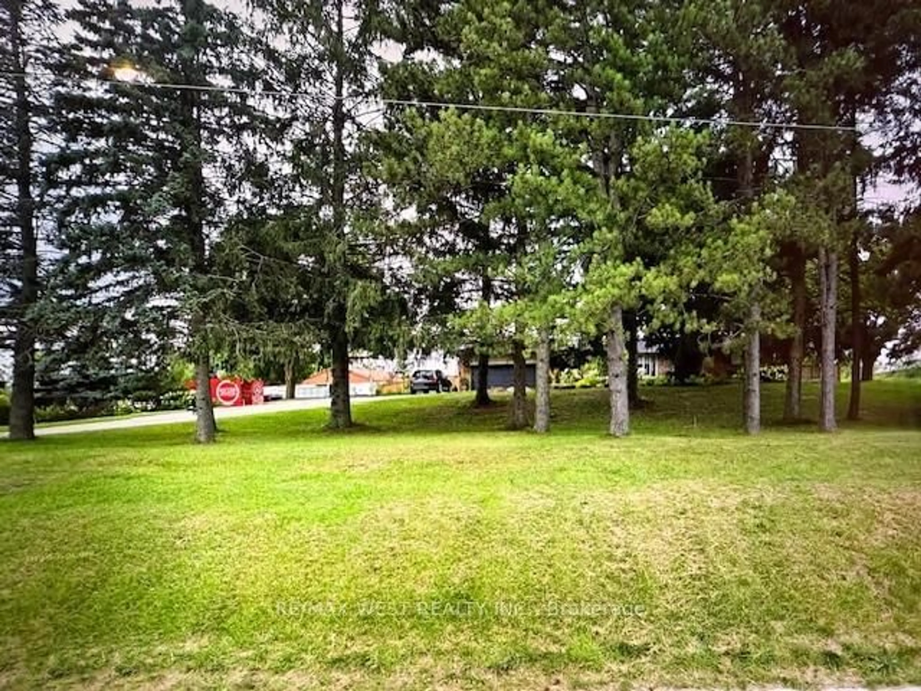 A pic from outside/outdoor area/front of a property/back of a property/a pic from drone, forest/trees view for 6600 King Vaughan Rd, Vaughan Ontario L0J 1C0