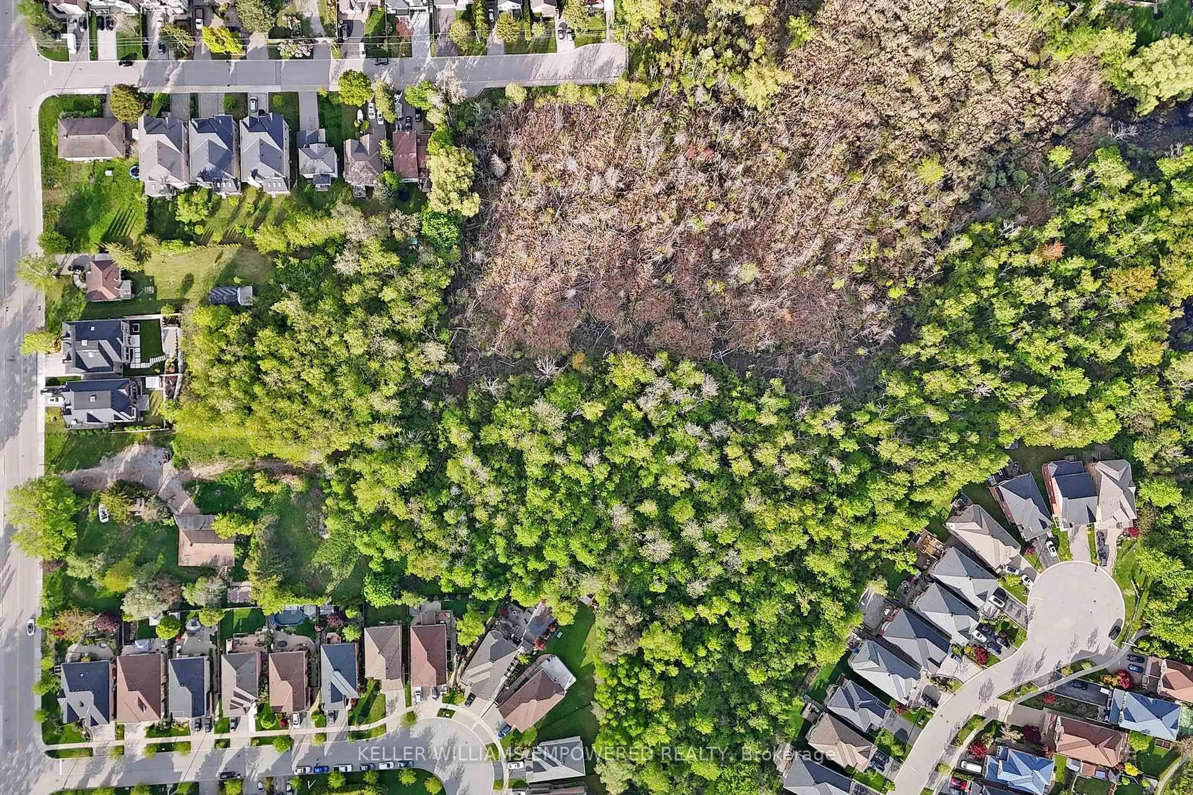 A pic from outside/outdoor area/front of a property/back of a property/a pic from drone, forest/trees view for 69 Snively St, Richmond Hill Ontario L4E 3E7