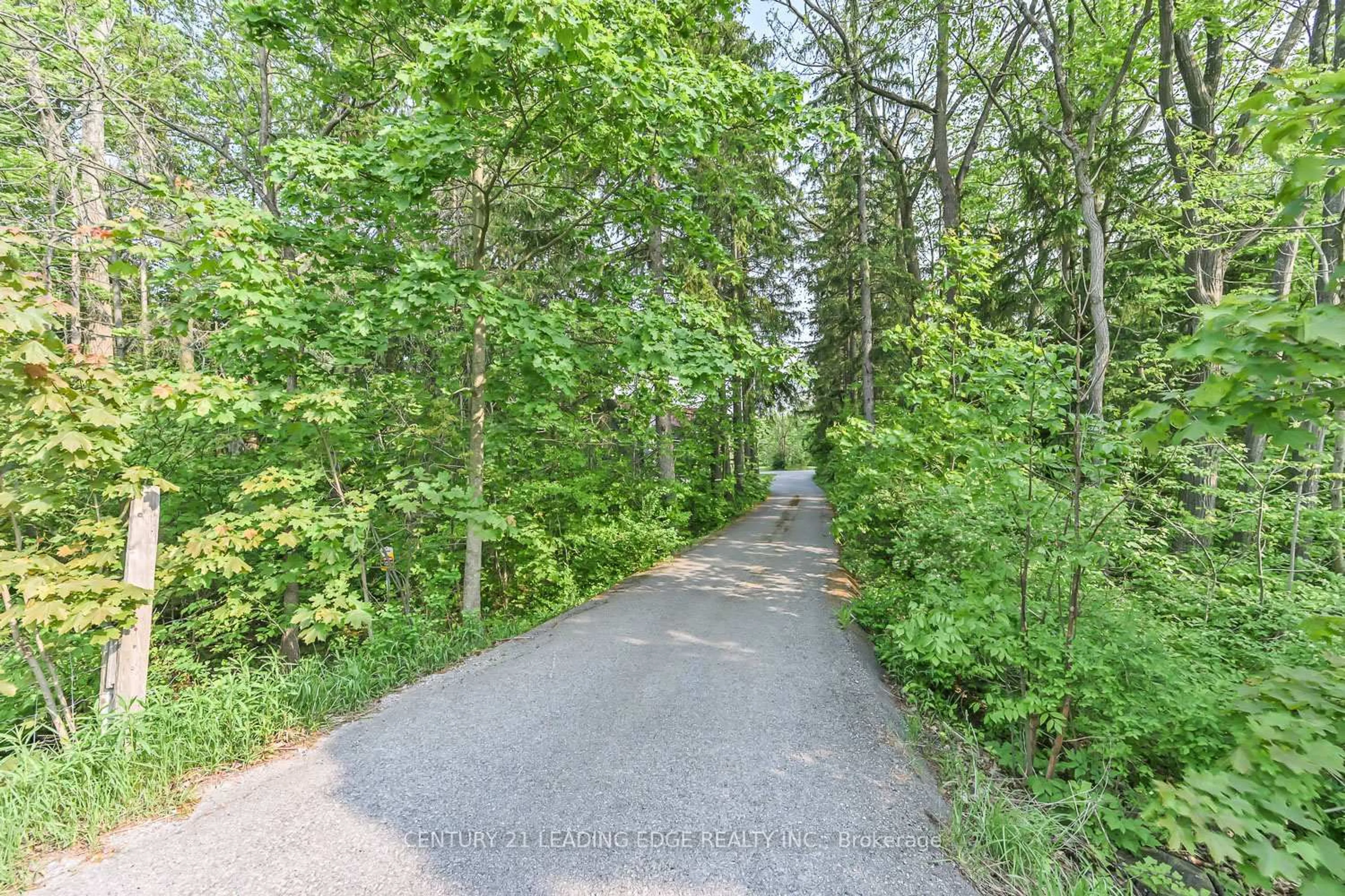 A pic from outside/outdoor area/front of a property/back of a property/a pic from drone, forest/trees view for 5845 Aurora Rd, Whitchurch-Stouffville Ontario L4A 7X4