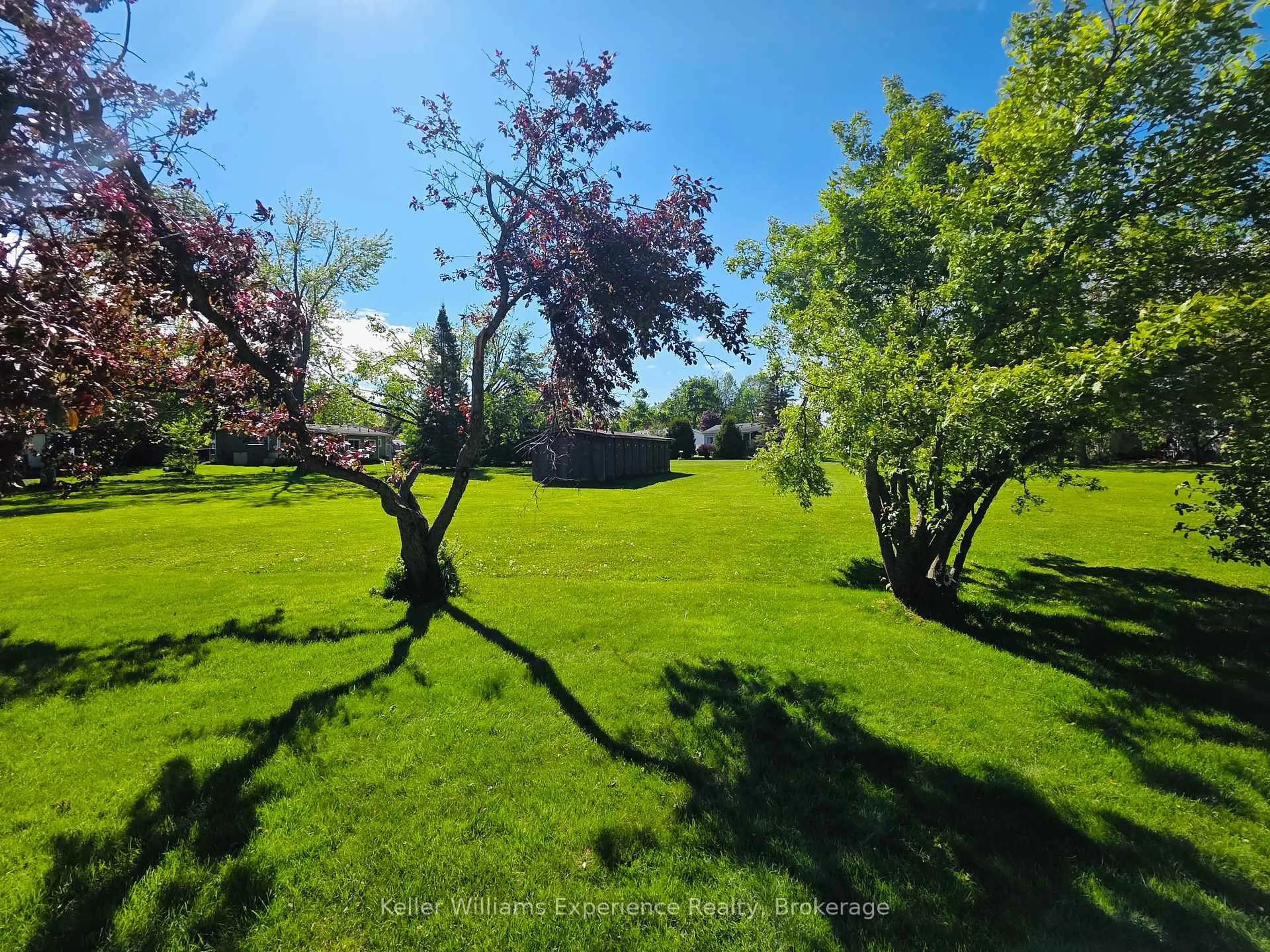 A pic from outside/outdoor area/front of a property/back of a property/a pic from drone, forest/trees view for 2 Elm Crt, Innisfil Ontario L9S 1M8