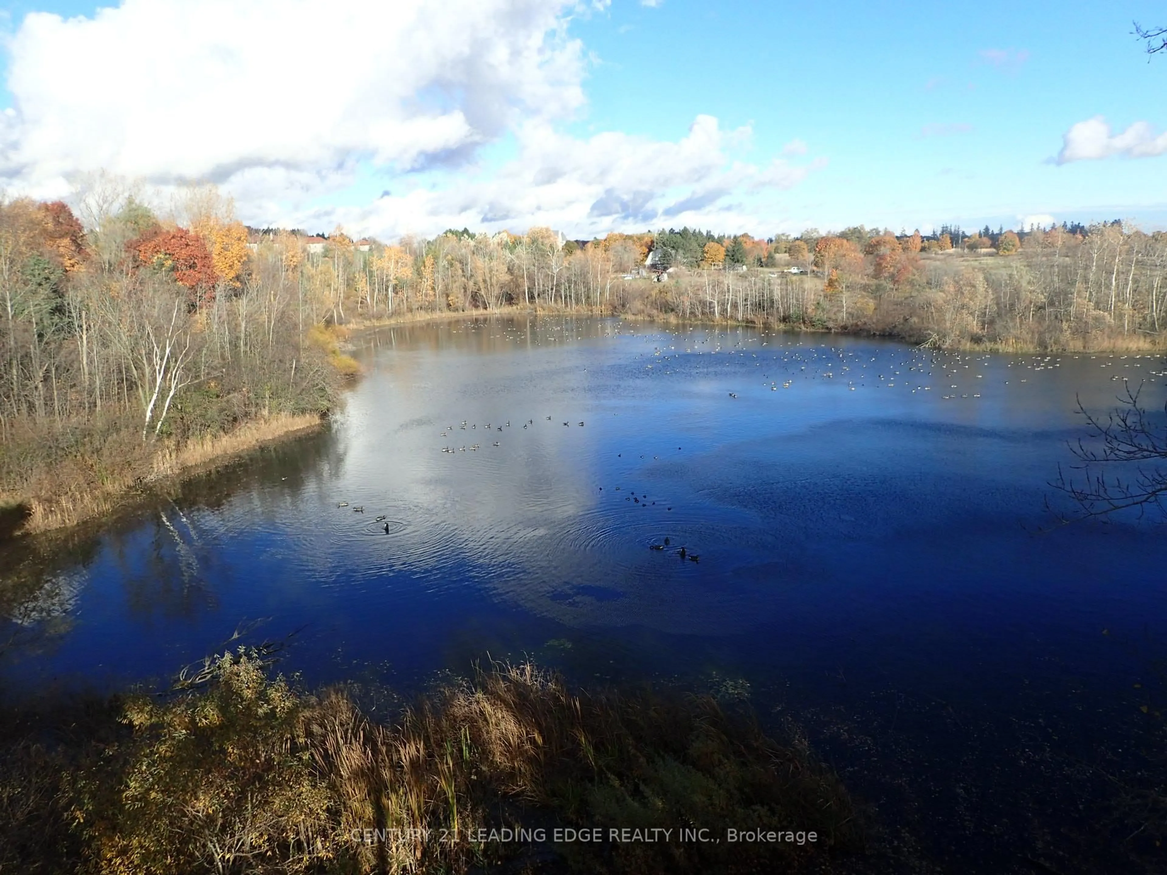 A pic from outside/outdoor area/front of a property/back of a property/a pic from drone, water/lake/river/ocean view for 3536 Bloomington Rd, Whitchurch-Stouffville Ontario L4A 4A2