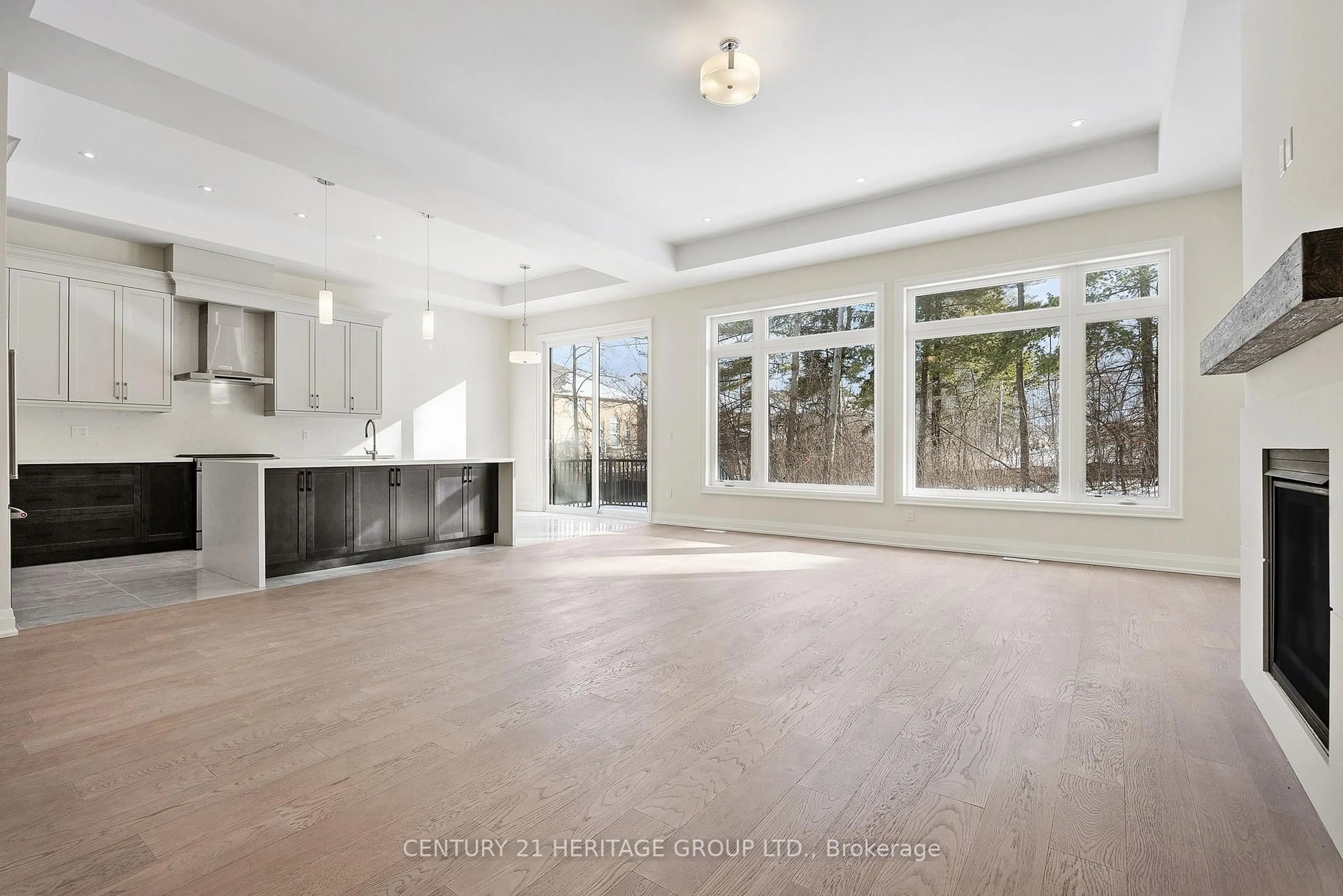 Unknown for 157 Snively St, Richmond Hill Ontario L4E 3E9