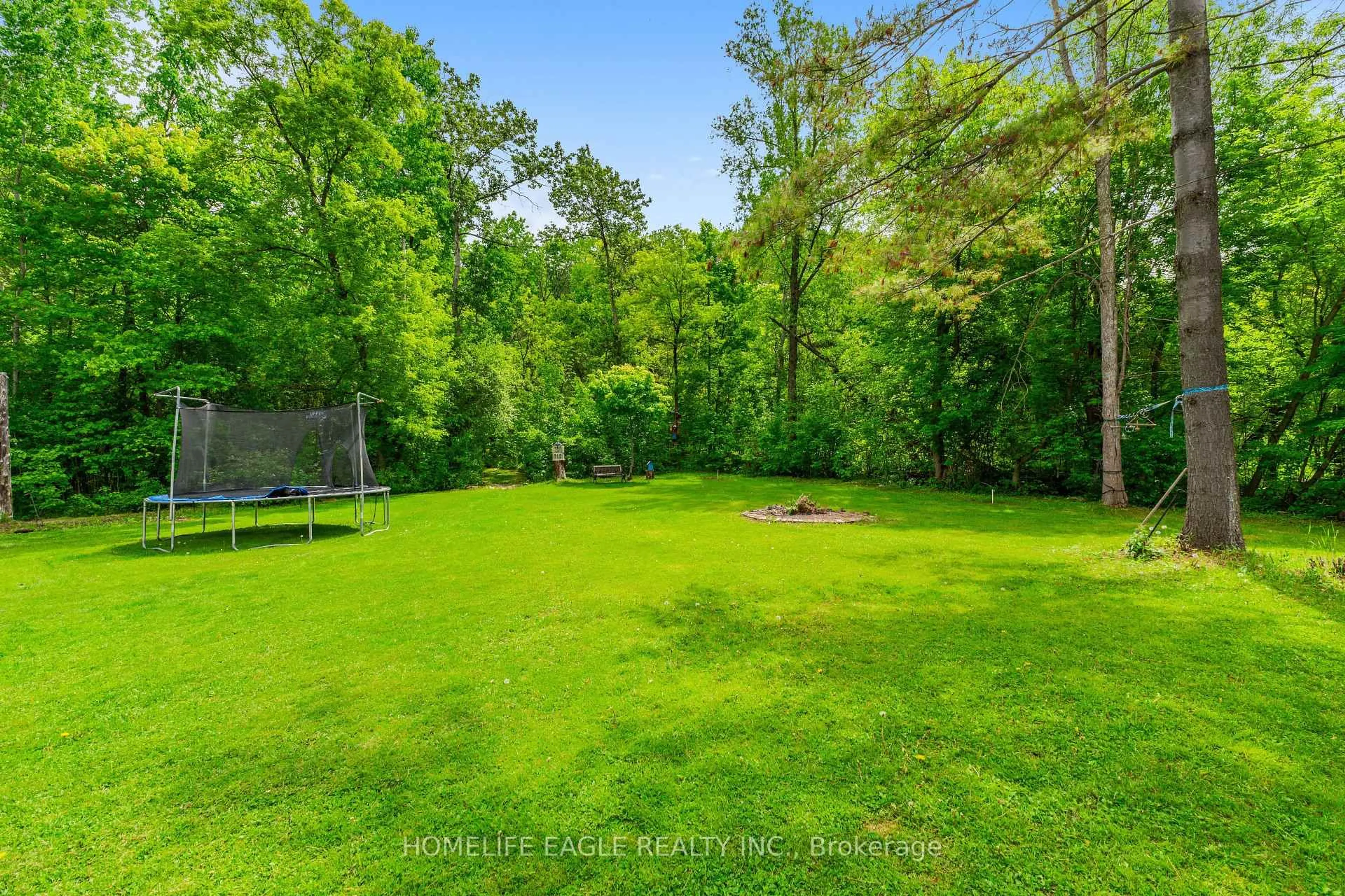 A pic from outside/outdoor area/front of a property/back of a property/a pic from drone, forest/trees view for 19341 Bathurst St, East Gwillimbury Ontario L9N 0K5
