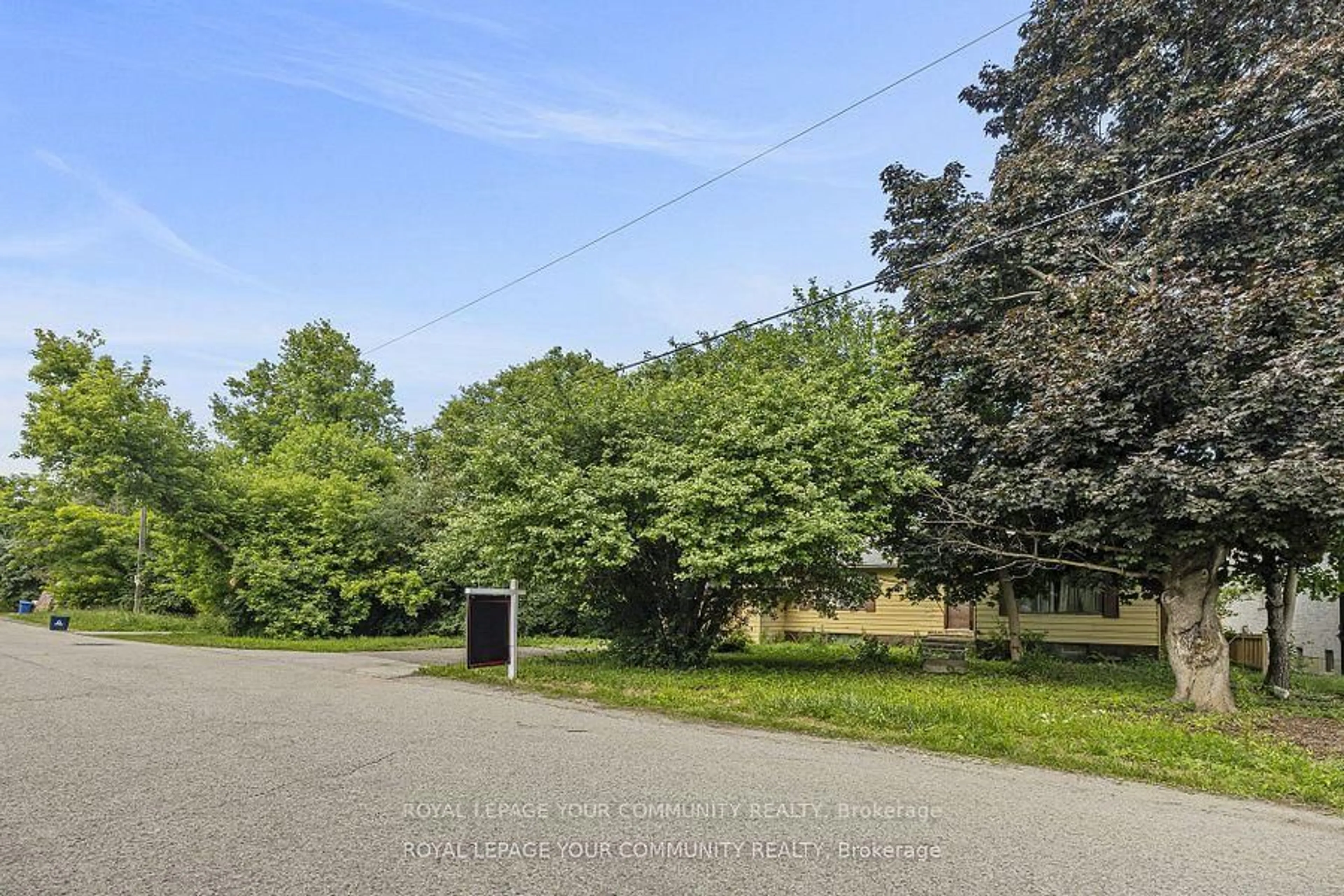A pic from outside/outdoor area/front of a property/back of a property/a pic from drone, forest/trees view for 67 Fergus Ave, Richmond Hill Ontario L4E 3C2