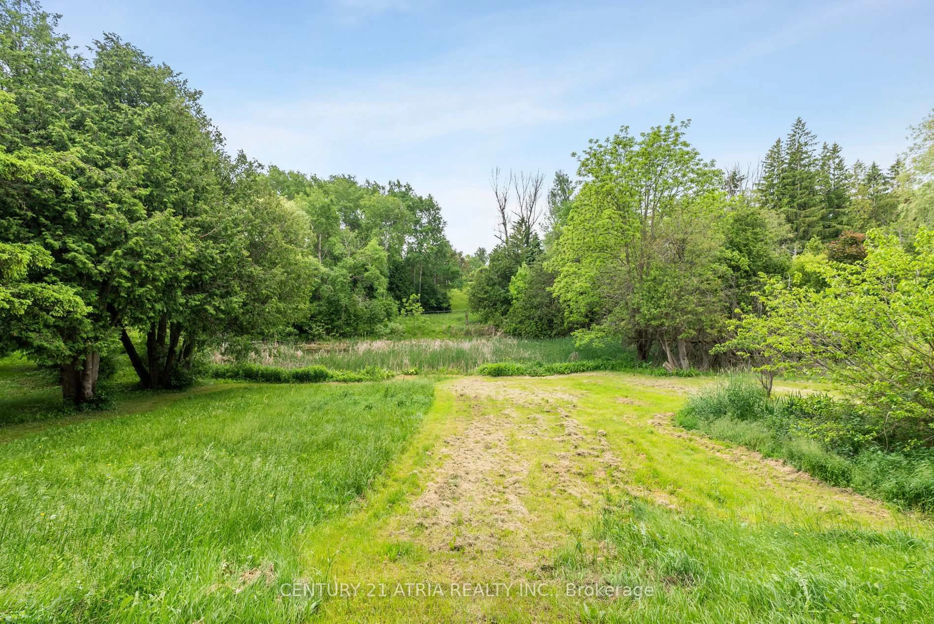 A pic from outside/outdoor area/front of a property/back of a property/a pic from drone, forest/trees view for 1293 Stouffville Rd, Richmond Hill Ontario L4E 3S5