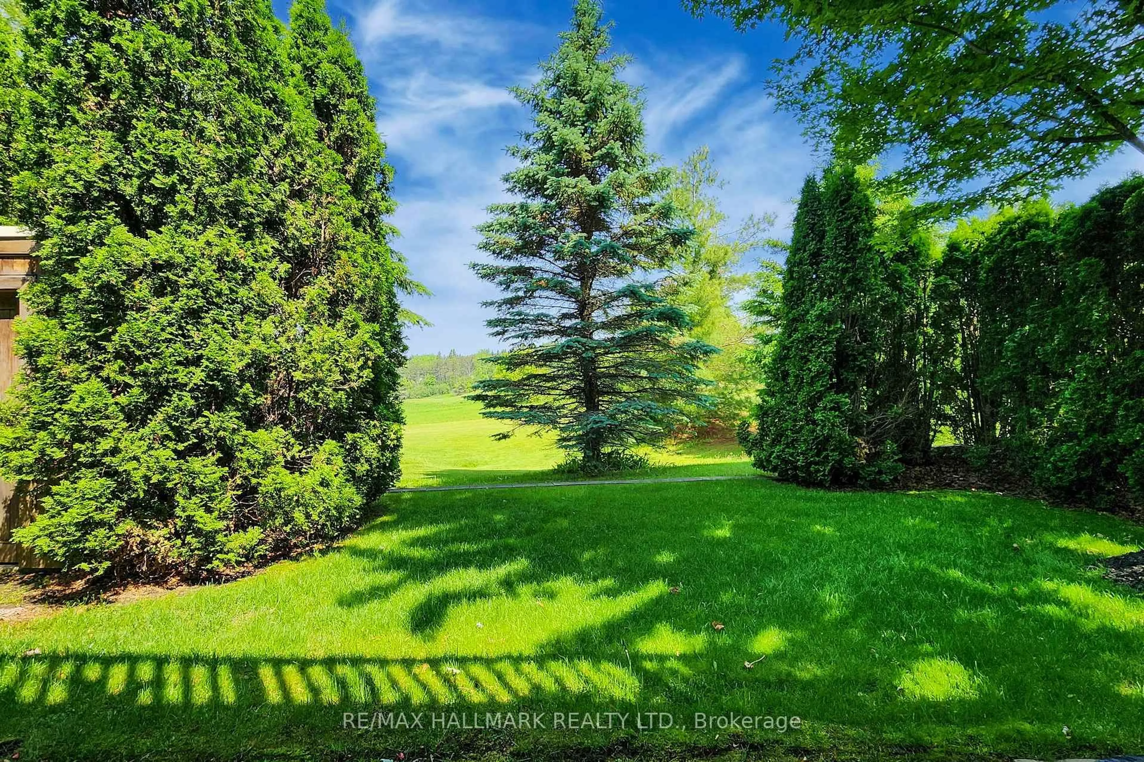A pic from outside/outdoor area/front of a property/back of a property/a pic from drone, forest/trees view for 27 Emerald Heights Dr, Whitchurch-Stouffville Ontario L4A 0C8