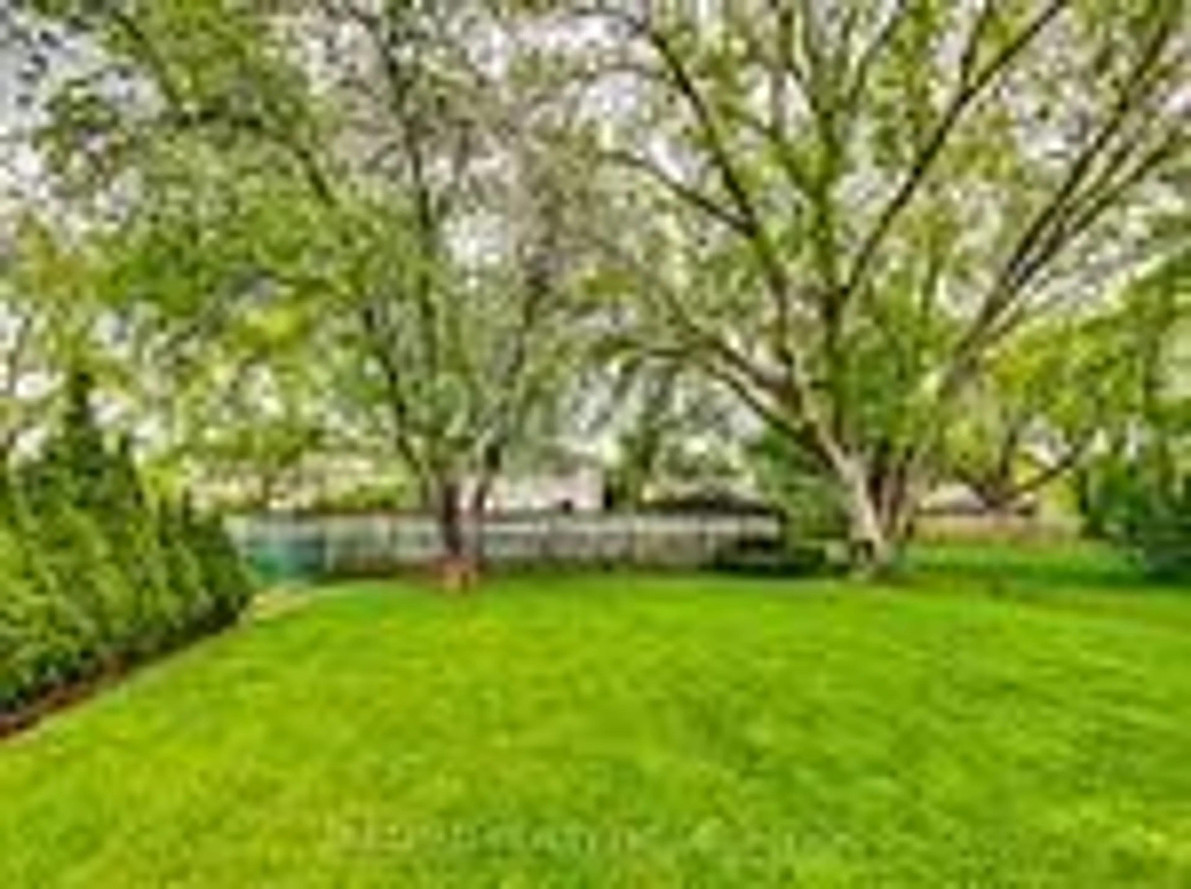 A pic from outside/outdoor area/front of a property/back of a property/a pic from drone, forest/trees view for 35 Mackay Dr, Richmond Hill Ontario L4C 6N9