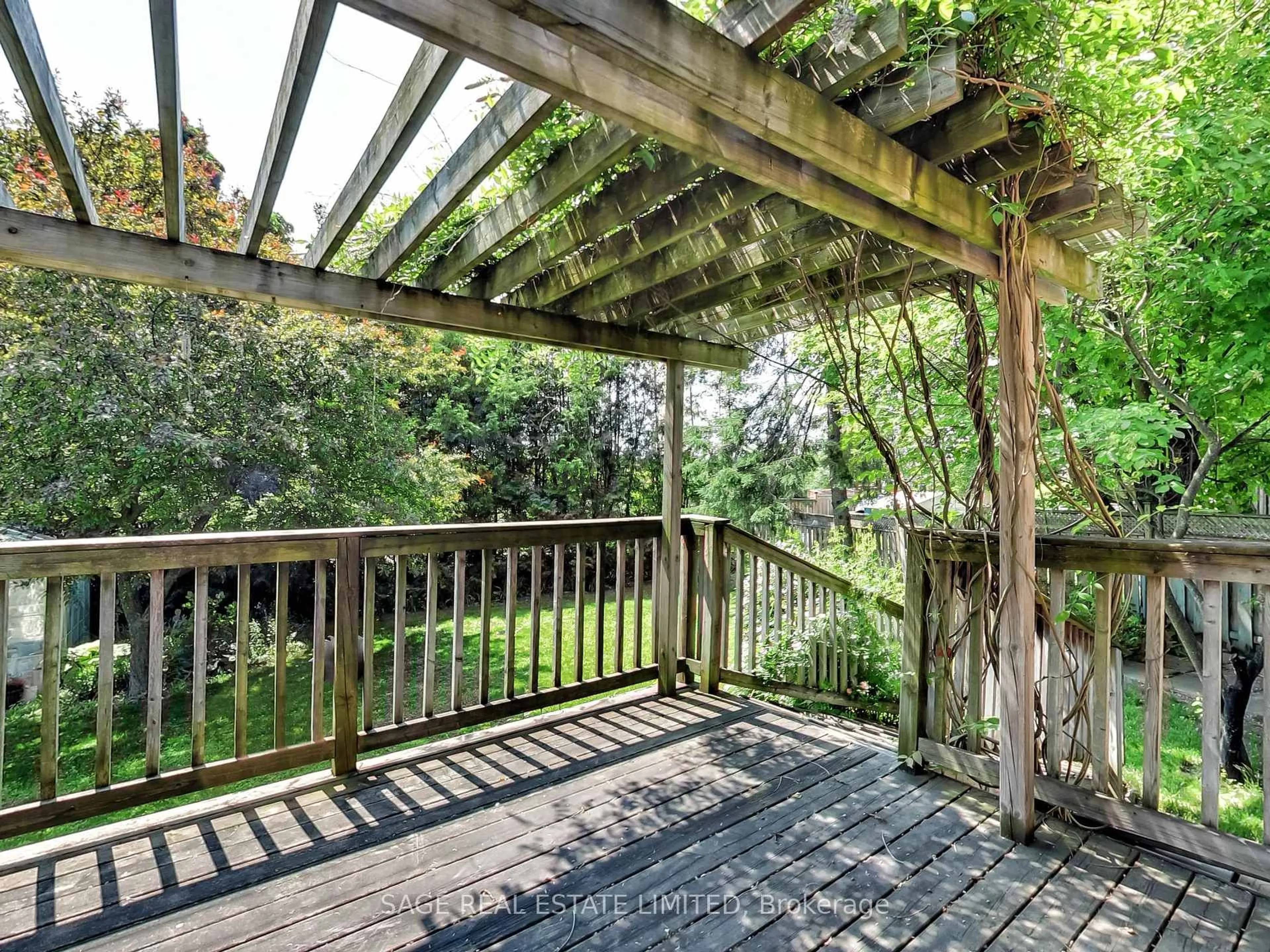Patio, forest/trees view for 244 Currey Cres, Newmarket Ontario L3Y 5M9