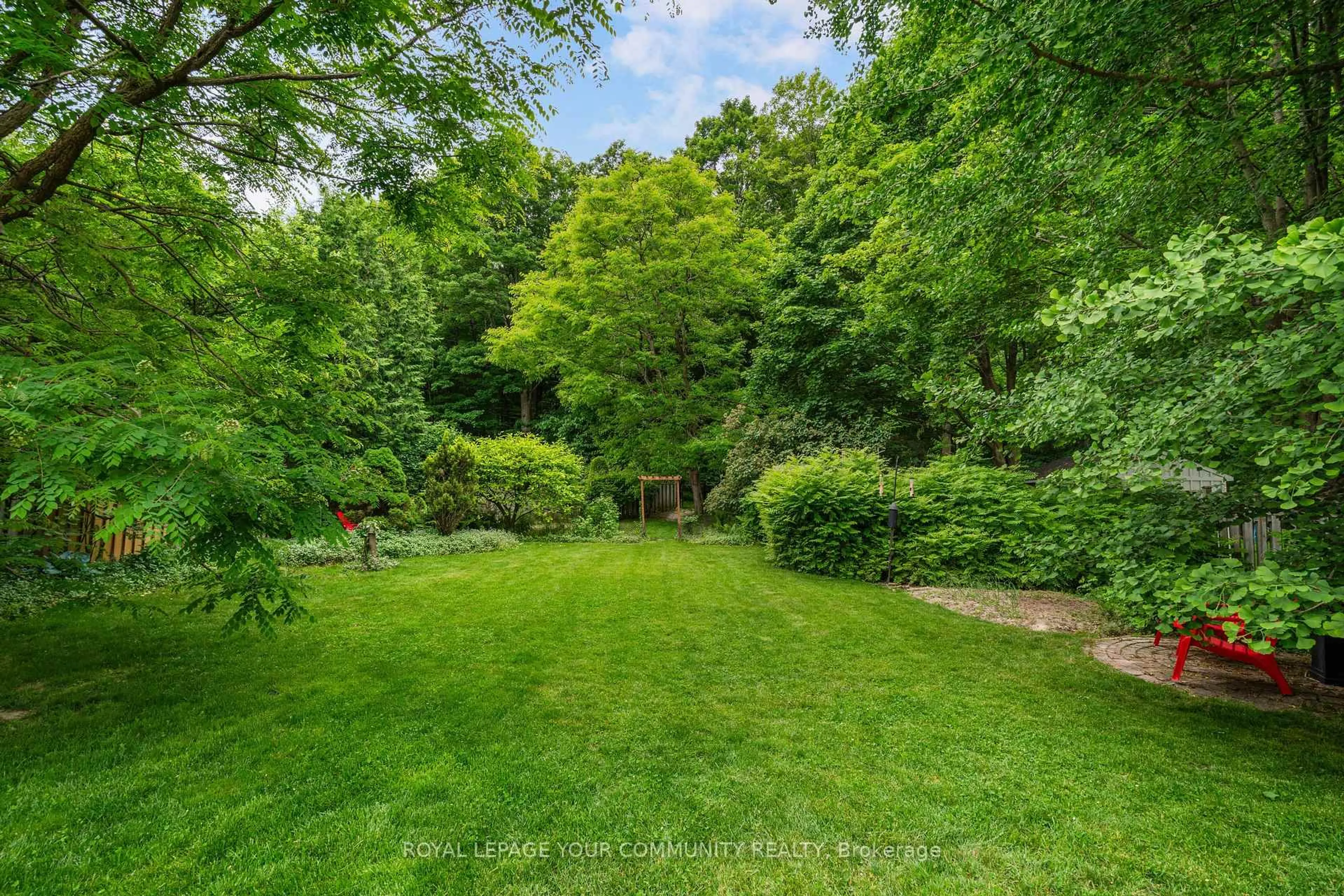 A pic from outside/outdoor area/front of a property/back of a property/a pic from drone, forest/trees view for 209 Tamarac Tr, Aurora Ontario L4G 5V9