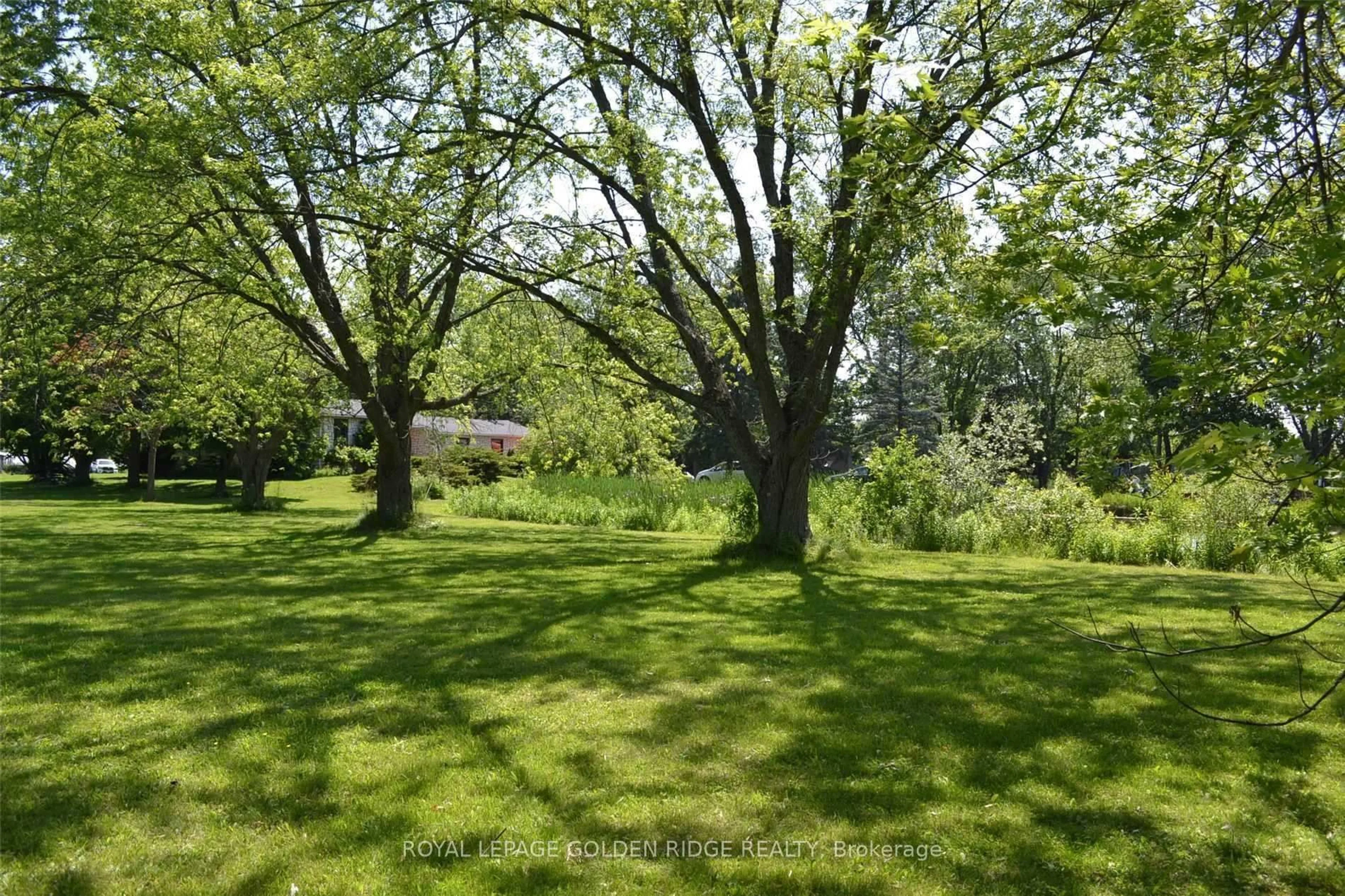 A pic from outside/outdoor area/front of a property/back of a property/a pic from drone, forest/trees view for 13099 Kennedy Rd, Whitchurch-Stouffville Ontario L4A 7X5