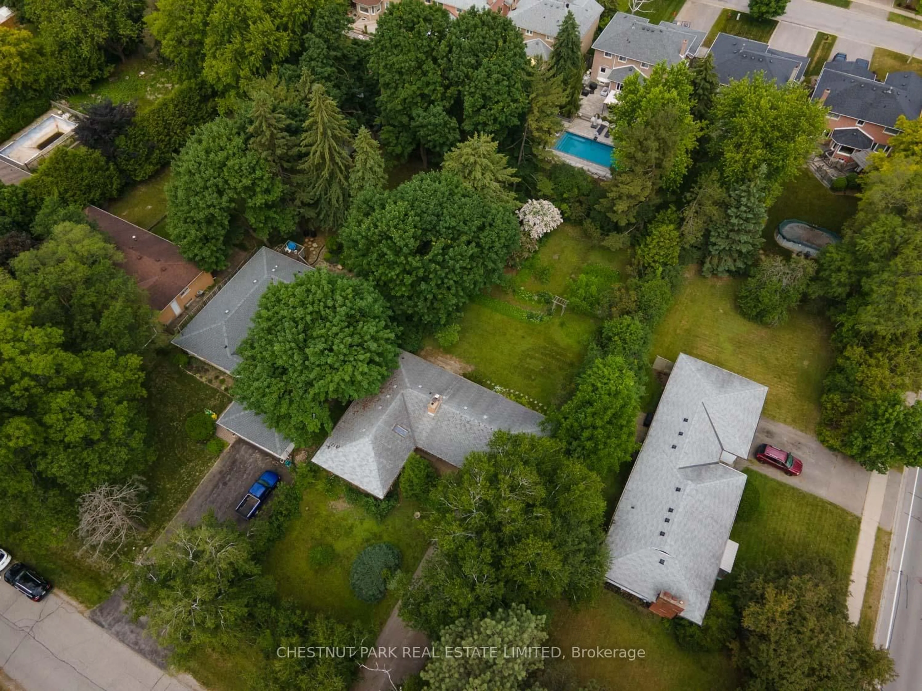 A pic from outside/outdoor area/front of a property/back of a property/a pic from drone, forest/trees view for 2 Gallacher Ave, Richmond Hill Ontario L4E 2W9