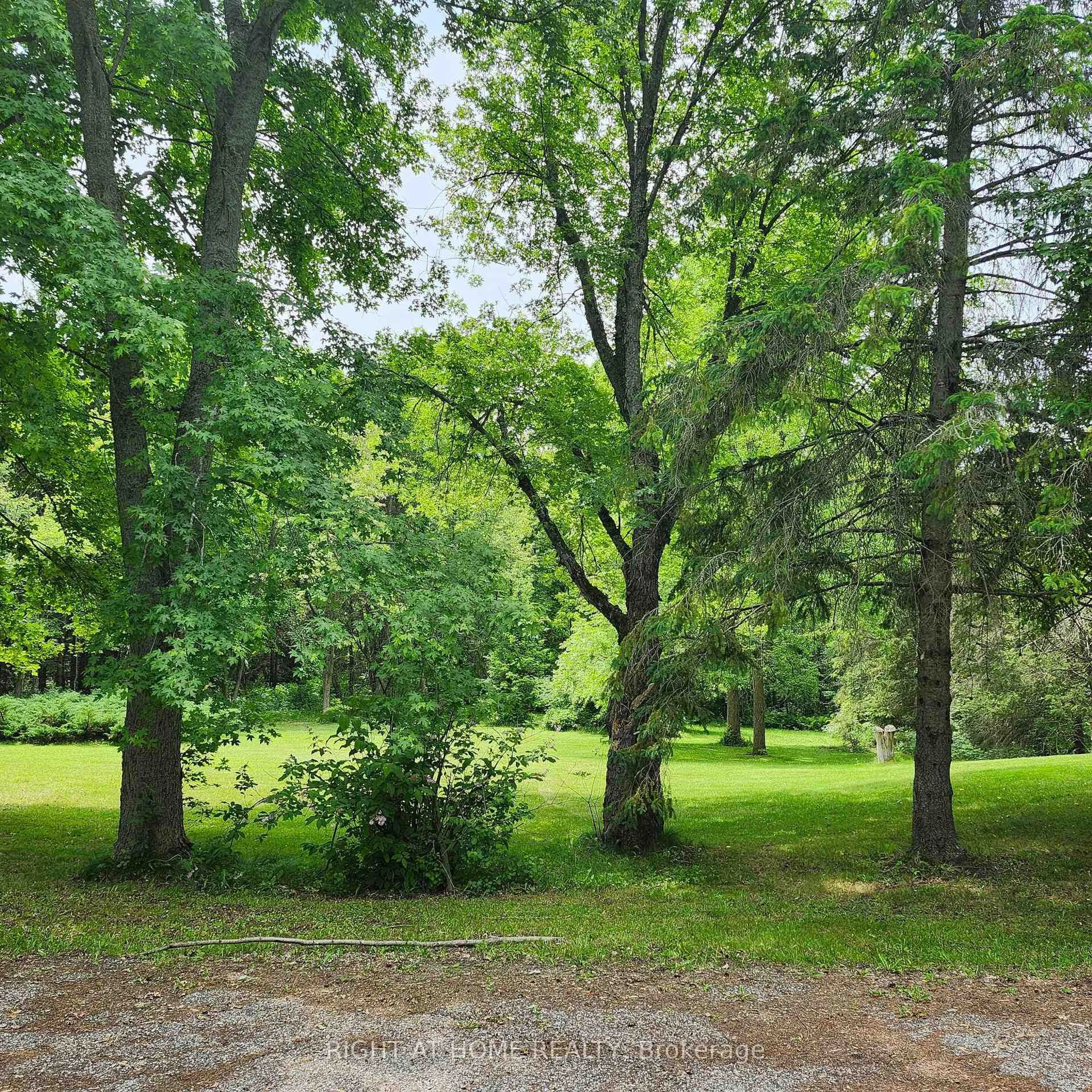 A pic from outside/outdoor area/front of a property/back of a property/a pic from drone, forest/trees view for 6920 9th Line, New Tecumseth Ontario L0G 1A0