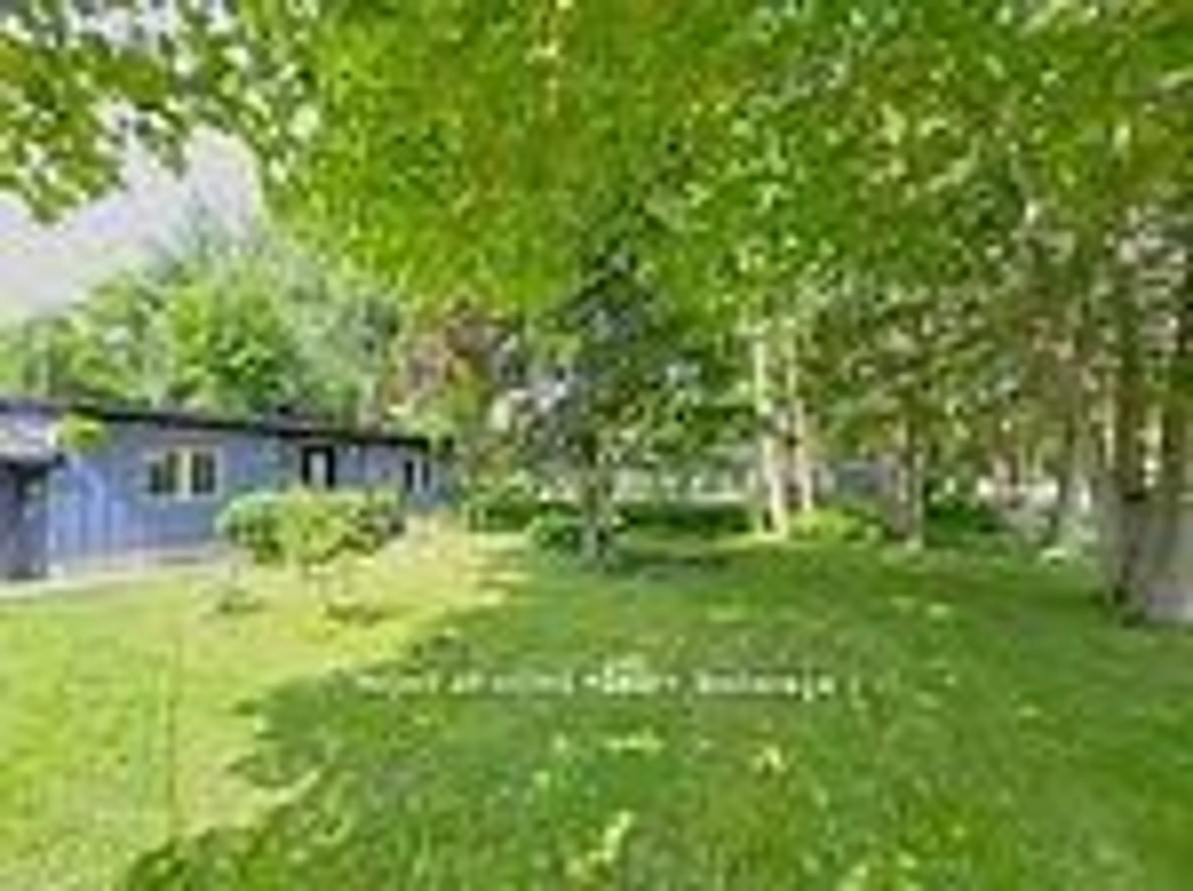 A pic from outside/outdoor area/front of a property/back of a property/a pic from drone, forest/trees view for 1012 Goshen Rd, Innisfil Ontario L9S 2B5