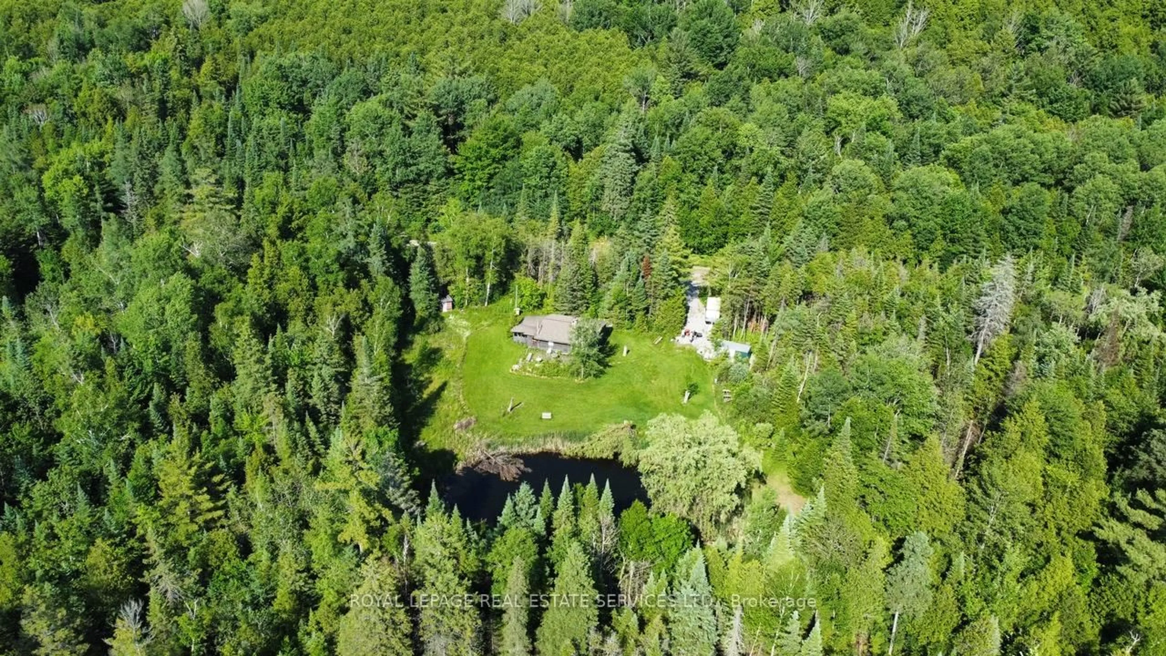 A pic from outside/outdoor area/front of a property/back of a property/a pic from drone, forest/trees view for 9150 Concession Road 8 Rd, Uxbridge Ontario L9P 1R3