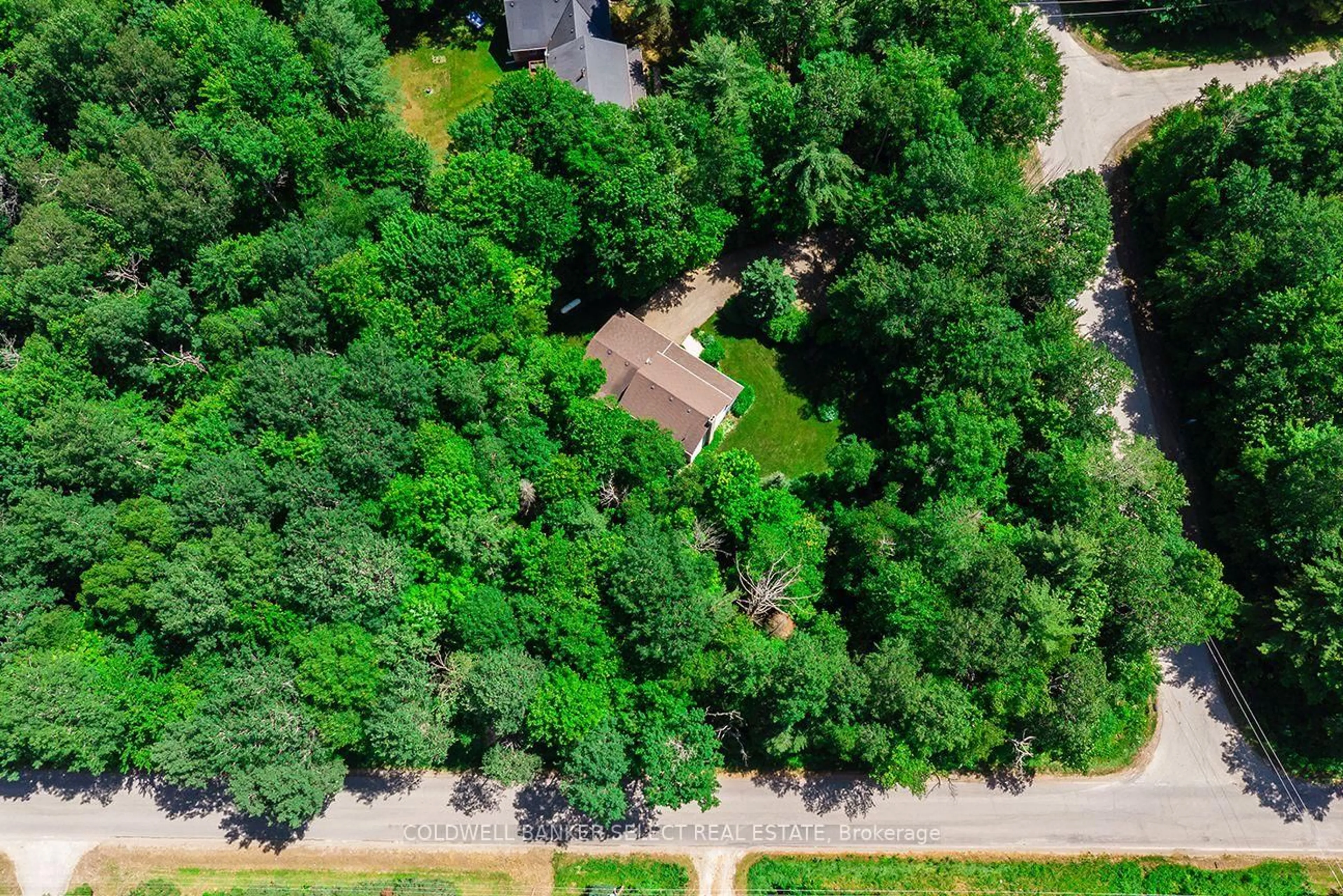 A pic from outside/outdoor area/front of a property/back of a property/a pic from drone, forest/trees view for 2 Trillium Tr, Adjala-Tosorontio Ontario L0M 1J0