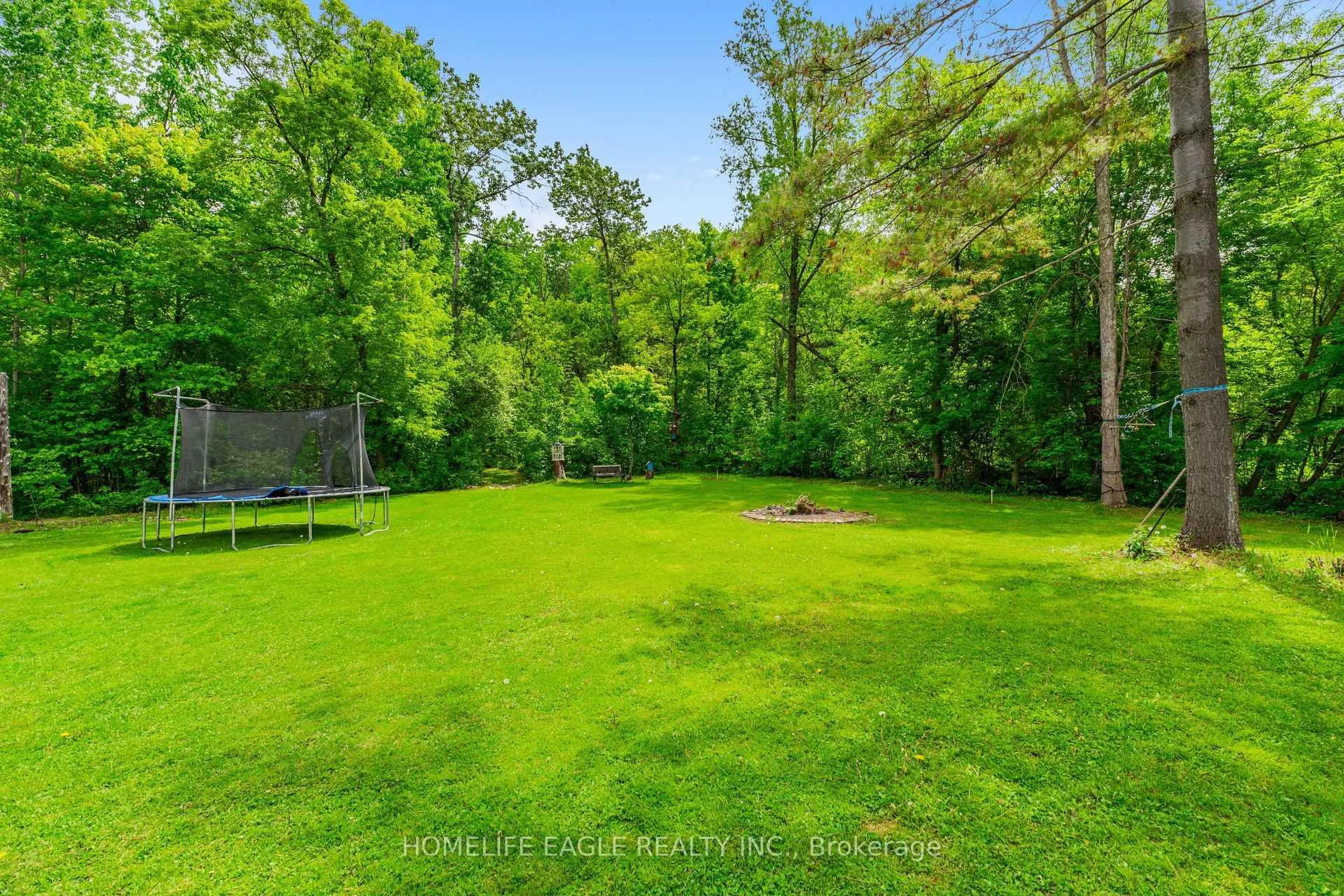 A pic from outside/outdoor area/front of a property/back of a property/a pic from drone, forest/trees view for 19341 Bathurst St, East Gwillimbury Ontario L9N 0K5