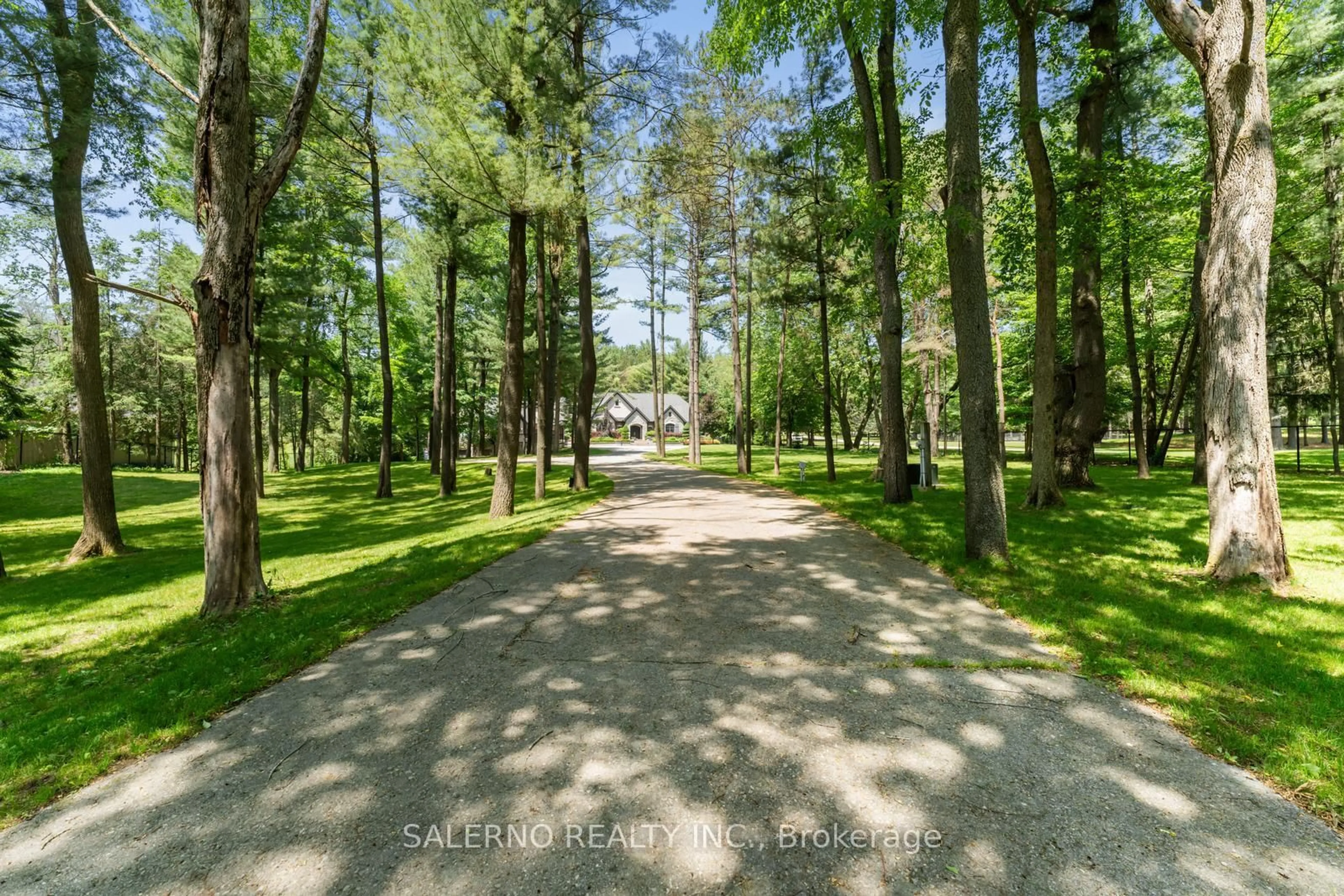 A pic from outside/outdoor area/front of a property/back of a property/a pic from drone, forest/trees view for 3560 16th Sdrd, King Ontario L7B 1A3