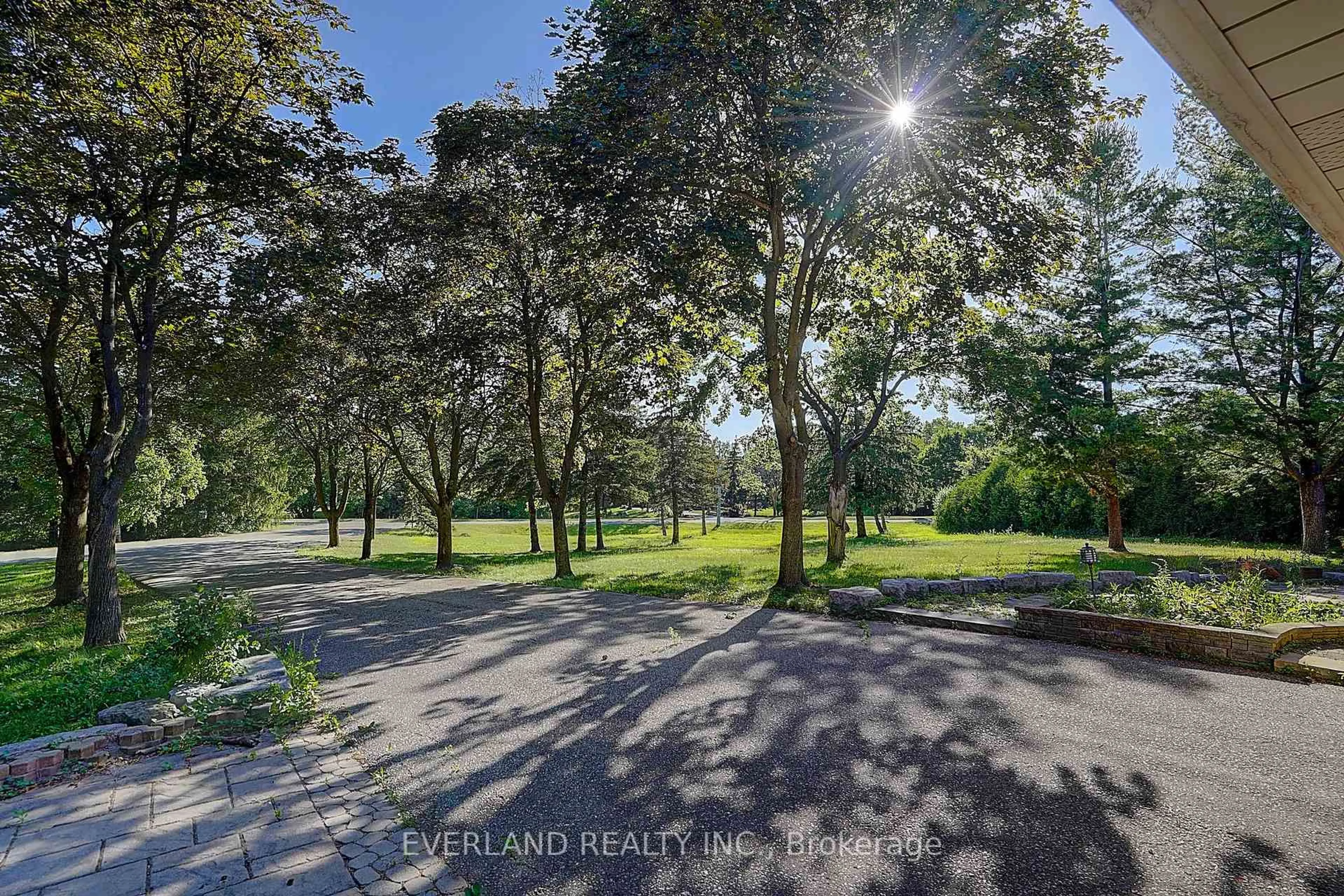 A pic from outside/outdoor area/front of a property/back of a property/a pic from drone, forest/trees view for 99 Burndean Crt, Richmond Hill Ontario L4C 9W5