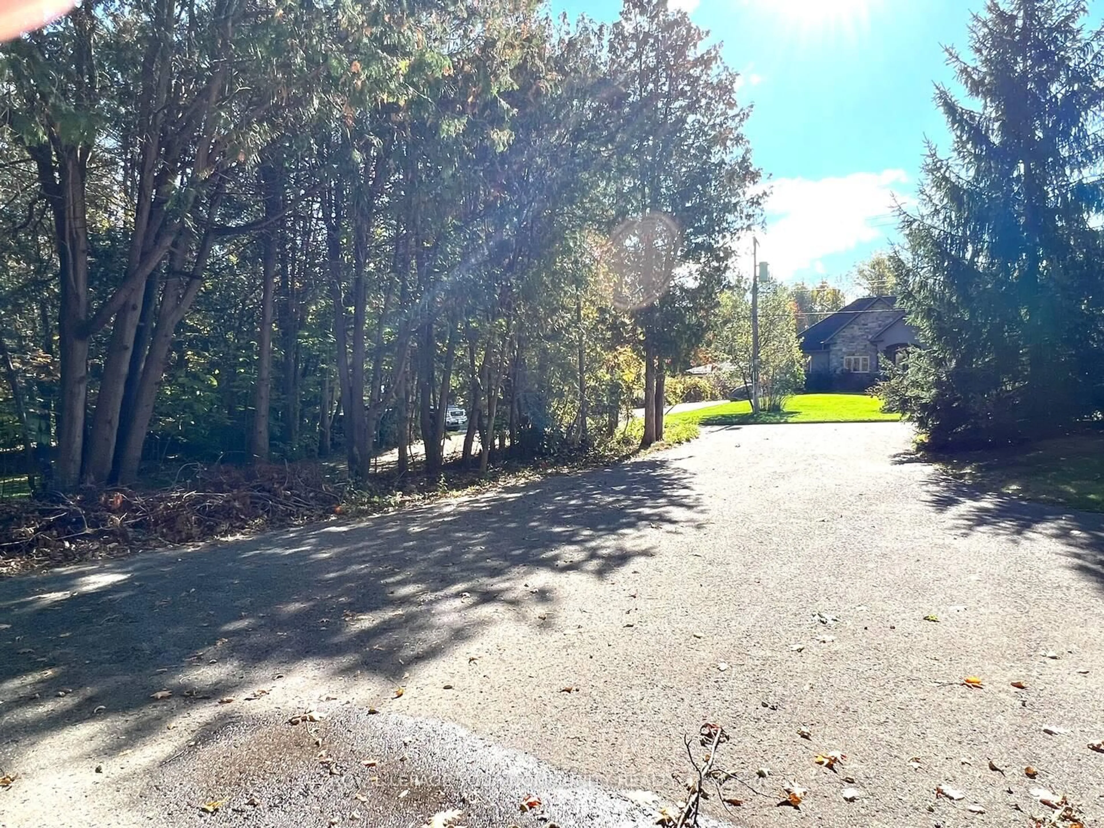 A pic from outside/outdoor area/front of a property/back of a property/a pic from drone, forest/trees view for 3994 Guest Rd, Innisfil Ontario L9S 2T4