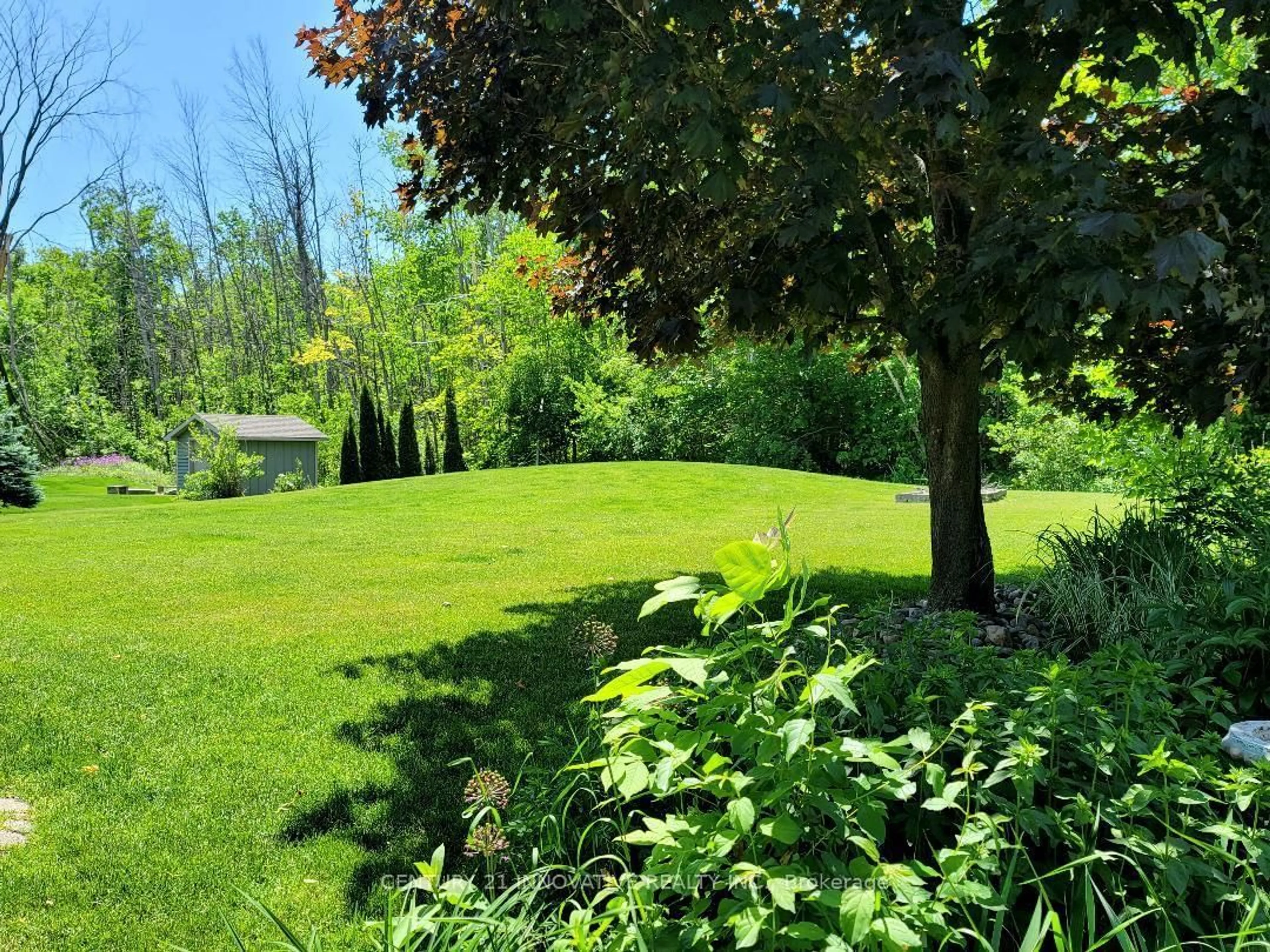 A pic from outside/outdoor area/front of a property/back of a property/a pic from drone, forest/trees view for 3678 Kimberley St, Innisfil Ontario L9S 2L3