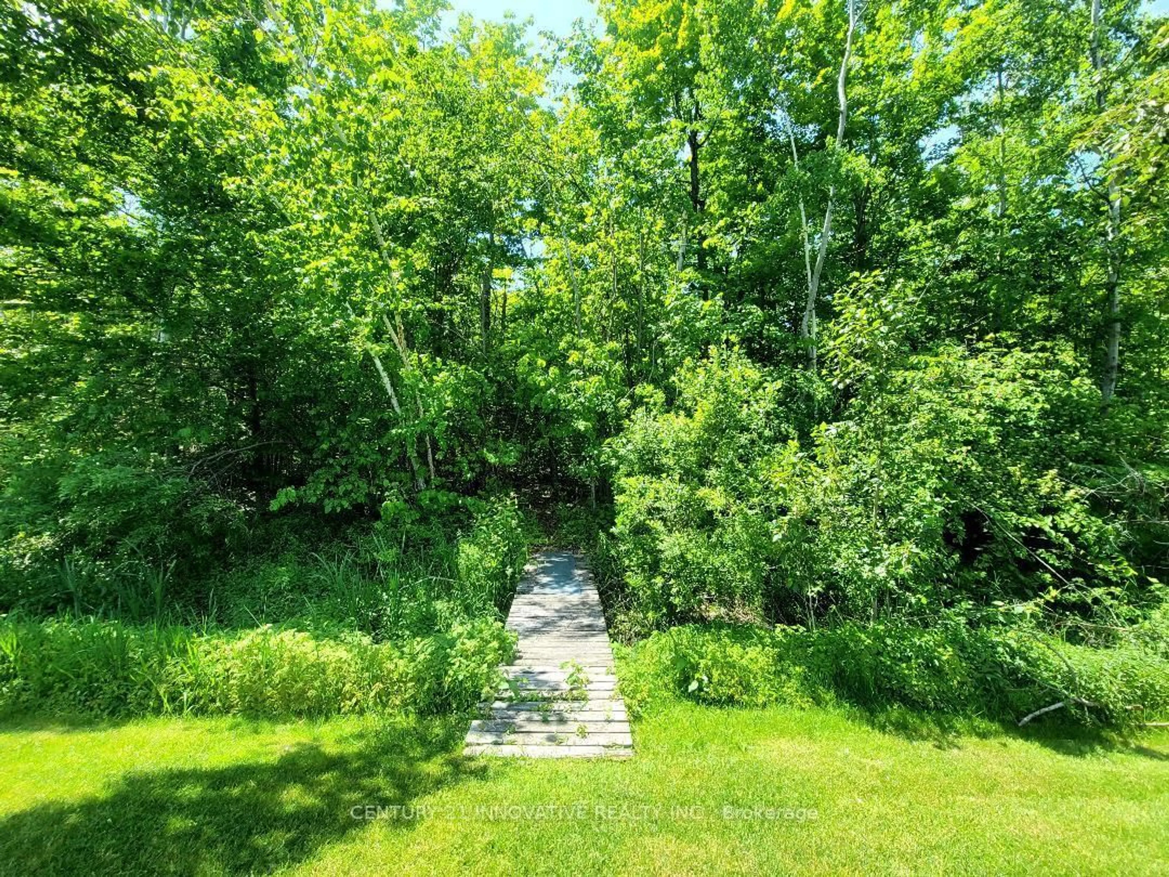 A pic from outside/outdoor area/front of a property/back of a property/a pic from drone, forest/trees view for 3678 Kimberley St, Innisfil Ontario L9S 2L3