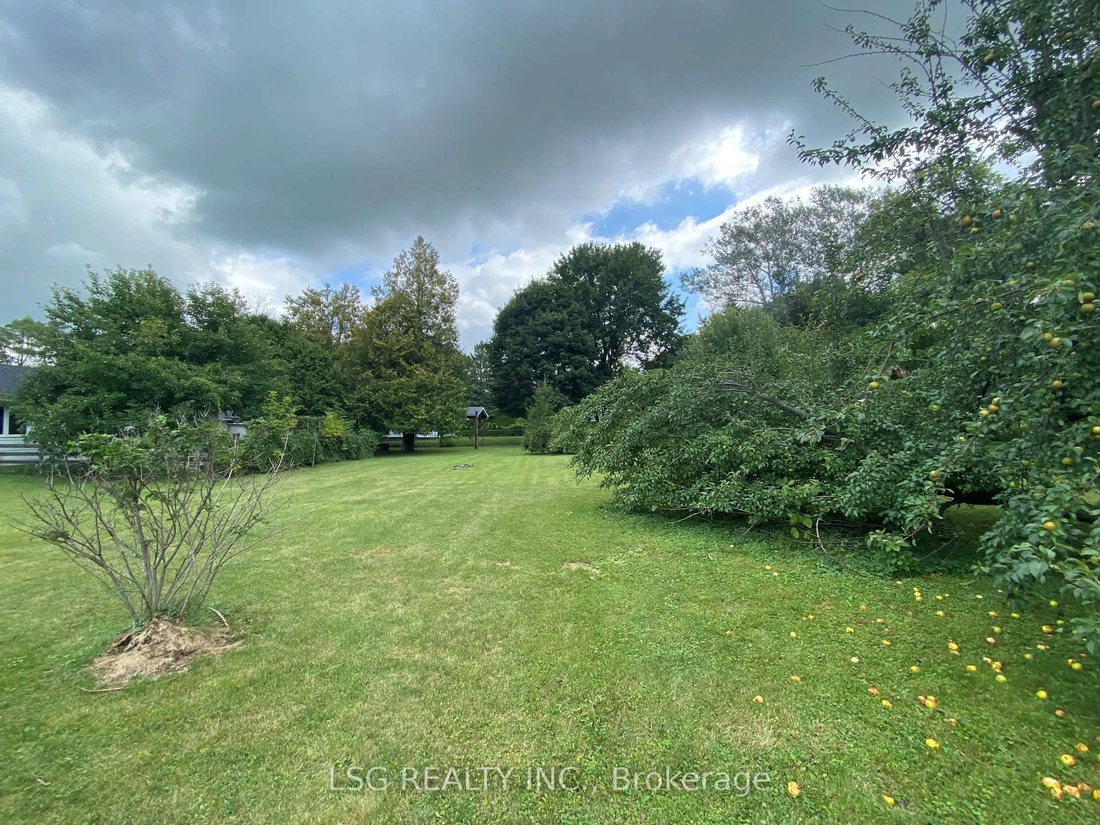 A pic from outside/outdoor area/front of a property/back of a property/a pic from drone, forest/trees view for 25 Sharon Blvd, East Gwillimbury Ontario L0G 1V0