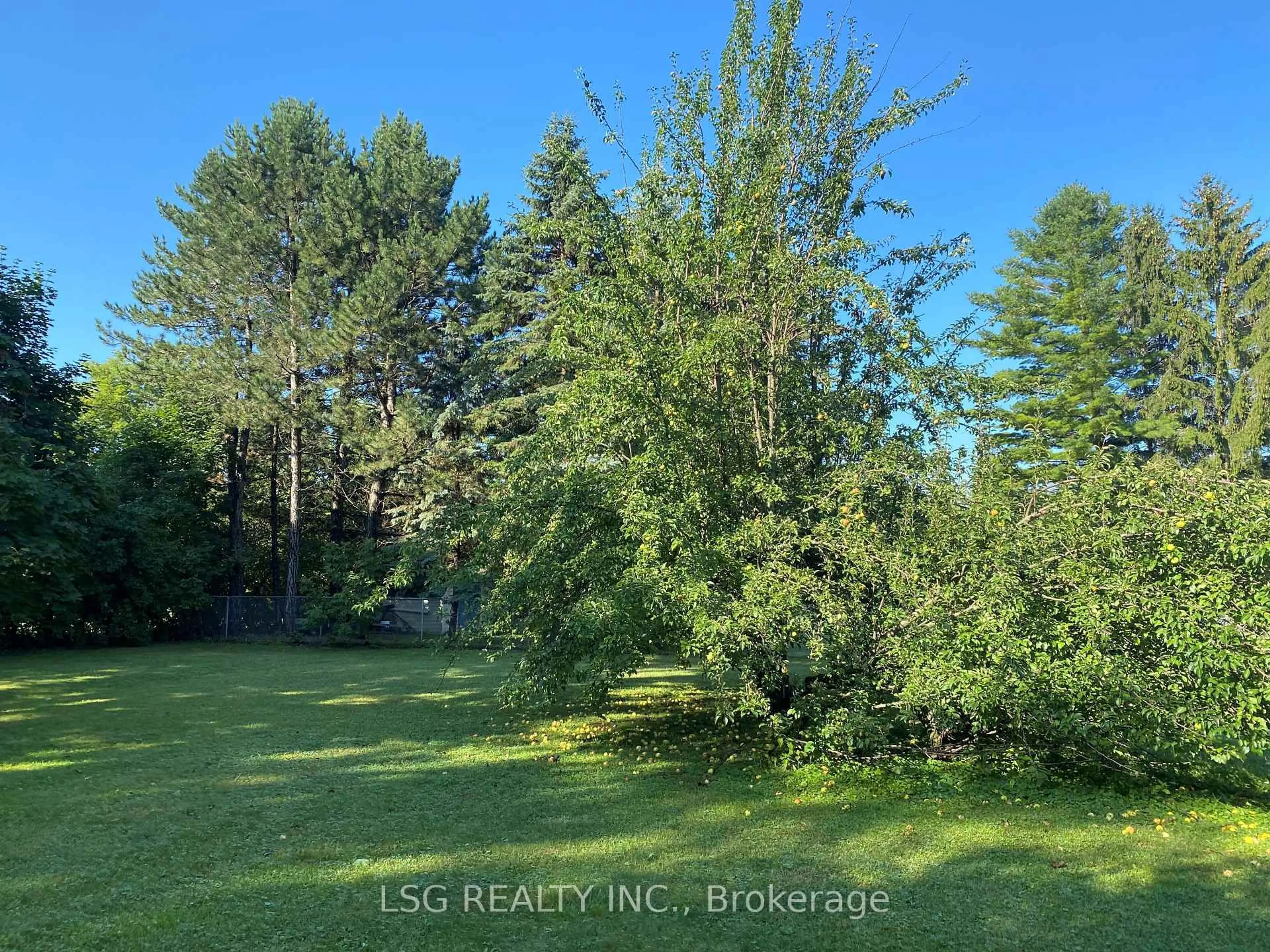 A pic from outside/outdoor area/front of a property/back of a property/a pic from drone, forest/trees view for 25 Sharon Blvd, East Gwillimbury Ontario L0G 1V0