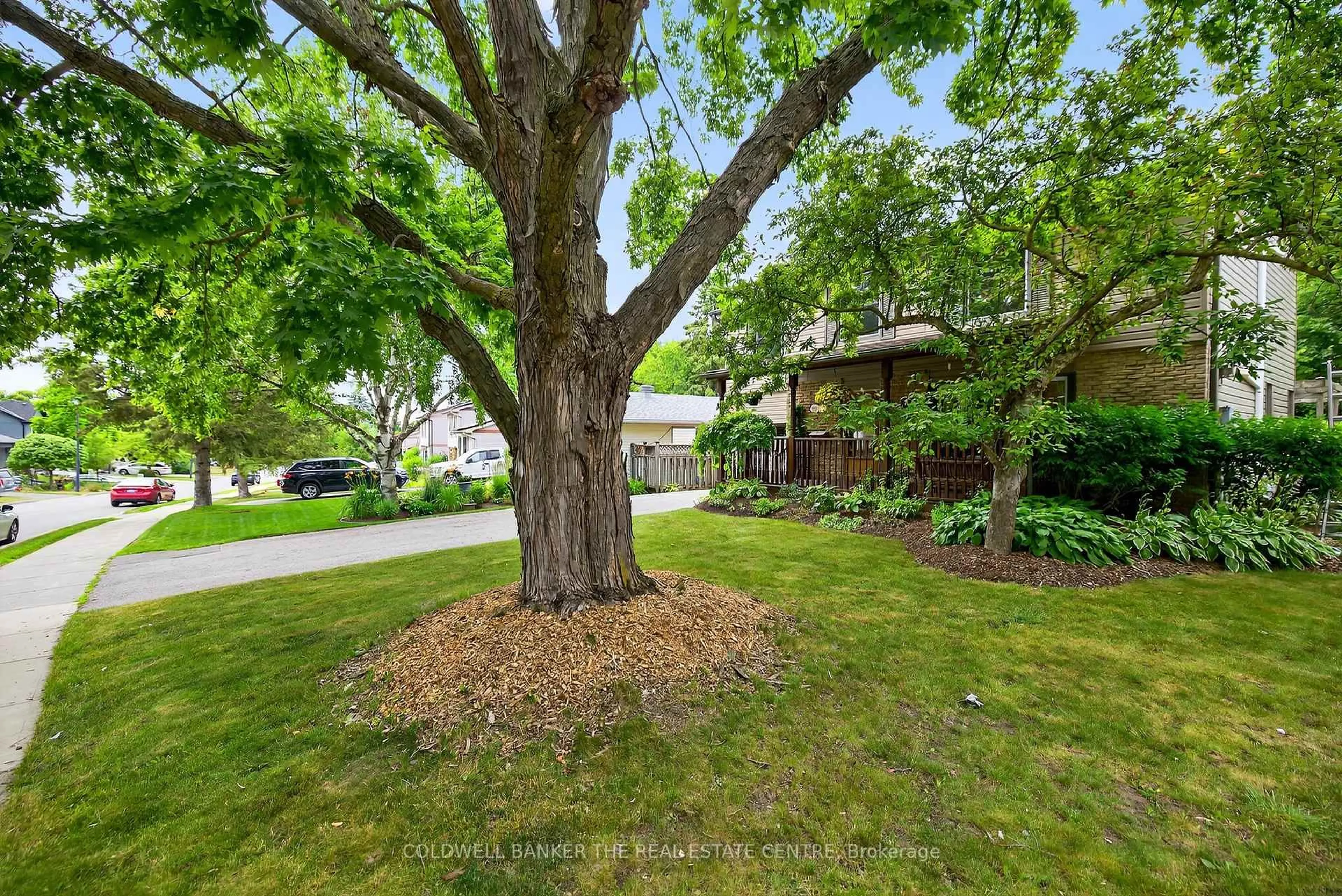 A pic from outside/outdoor area/front of a property/back of a property/a pic from drone, street for 869 Magnolia Ave, Newmarket Ontario L3Y 5H5