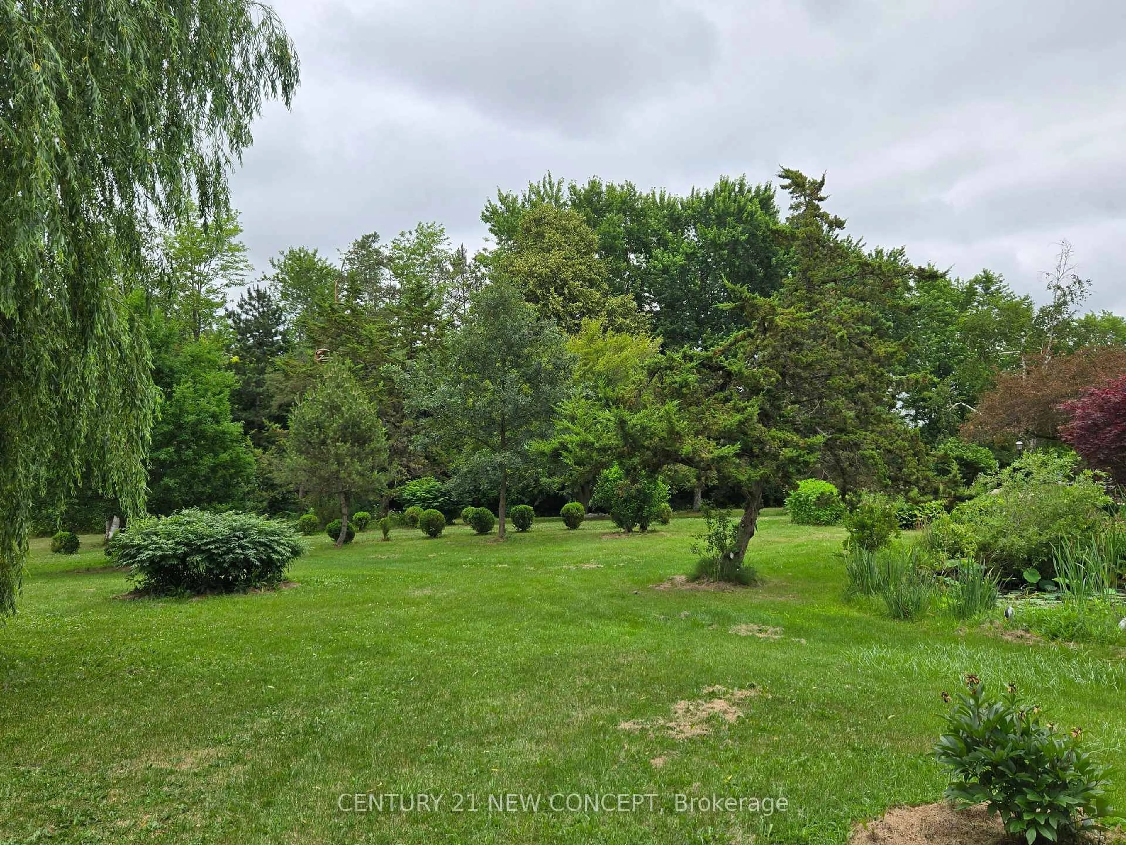 A pic from outside/outdoor area/front of a property/back of a property/a pic from drone, forest/trees view for 3569 Bethesda Rd, Whitchurch-Stouffville Ontario L4A 3Z4
