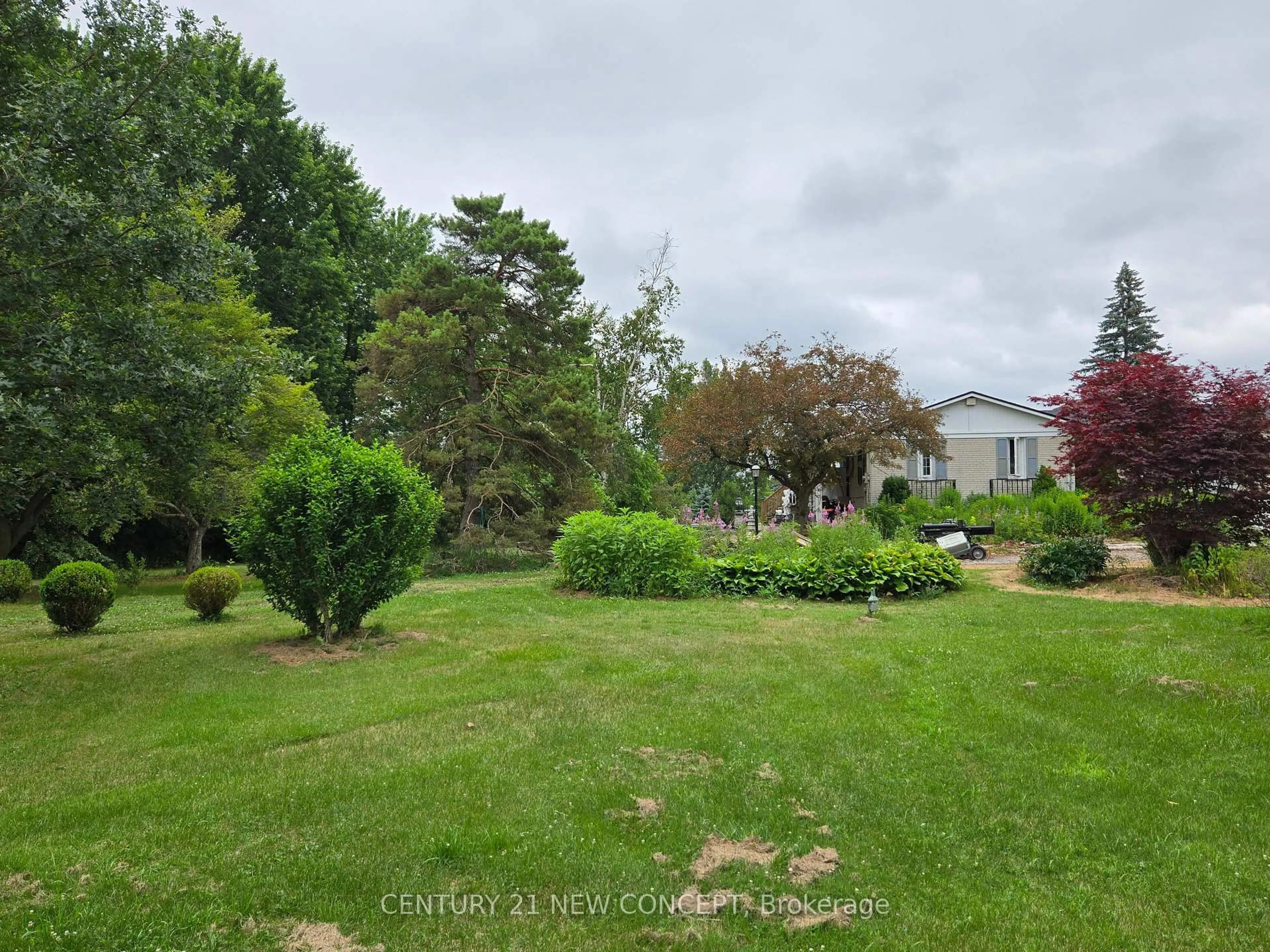 A pic from outside/outdoor area/front of a property/back of a property/a pic from drone, forest/trees view for 3569 Bethesda Rd, Whitchurch-Stouffville Ontario L4A 3Z4