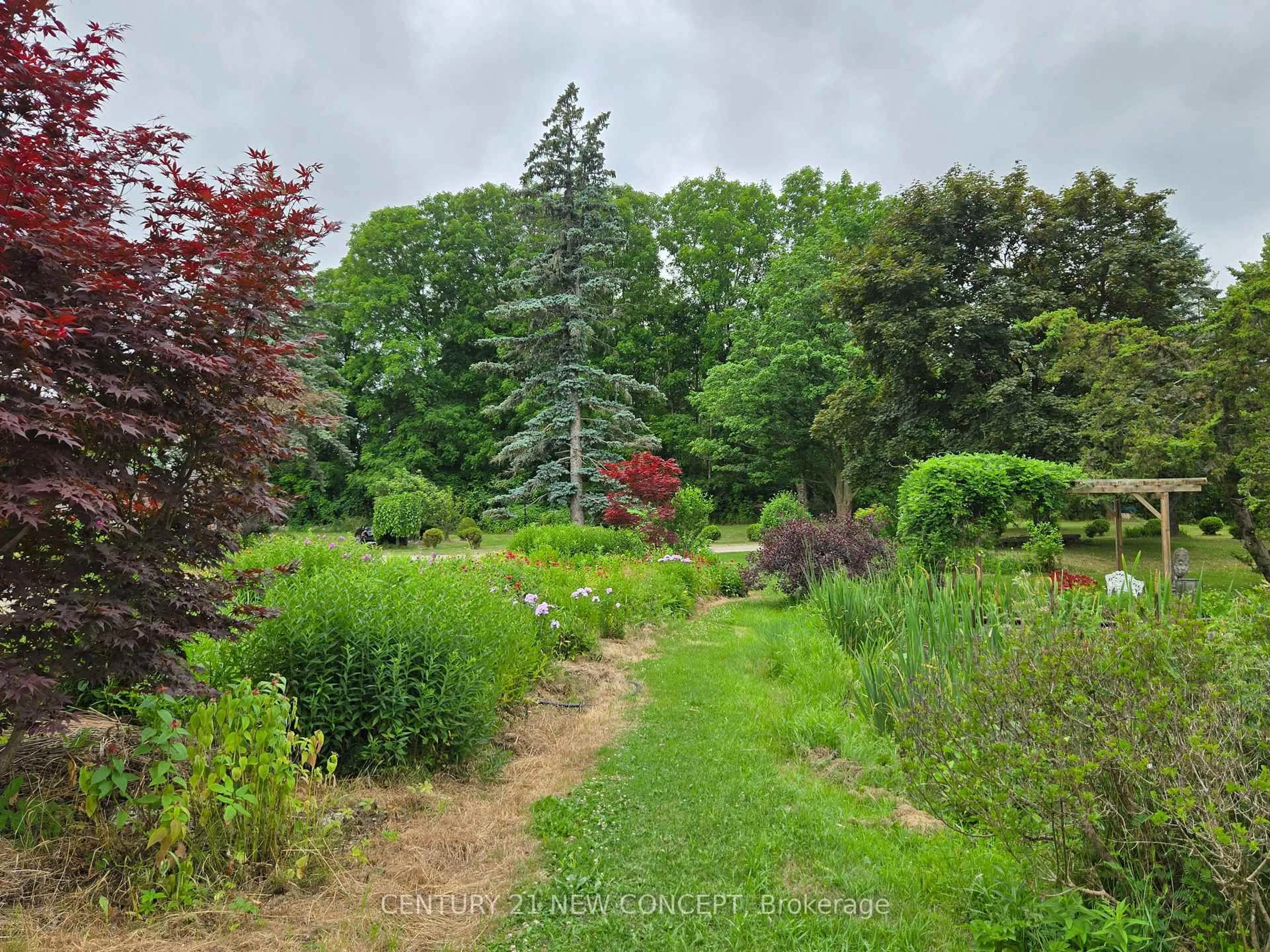 A pic from outside/outdoor area/front of a property/back of a property/a pic from drone, forest/trees view for 3569 Bethesda Rd, Whitchurch-Stouffville Ontario L4A 3Z4