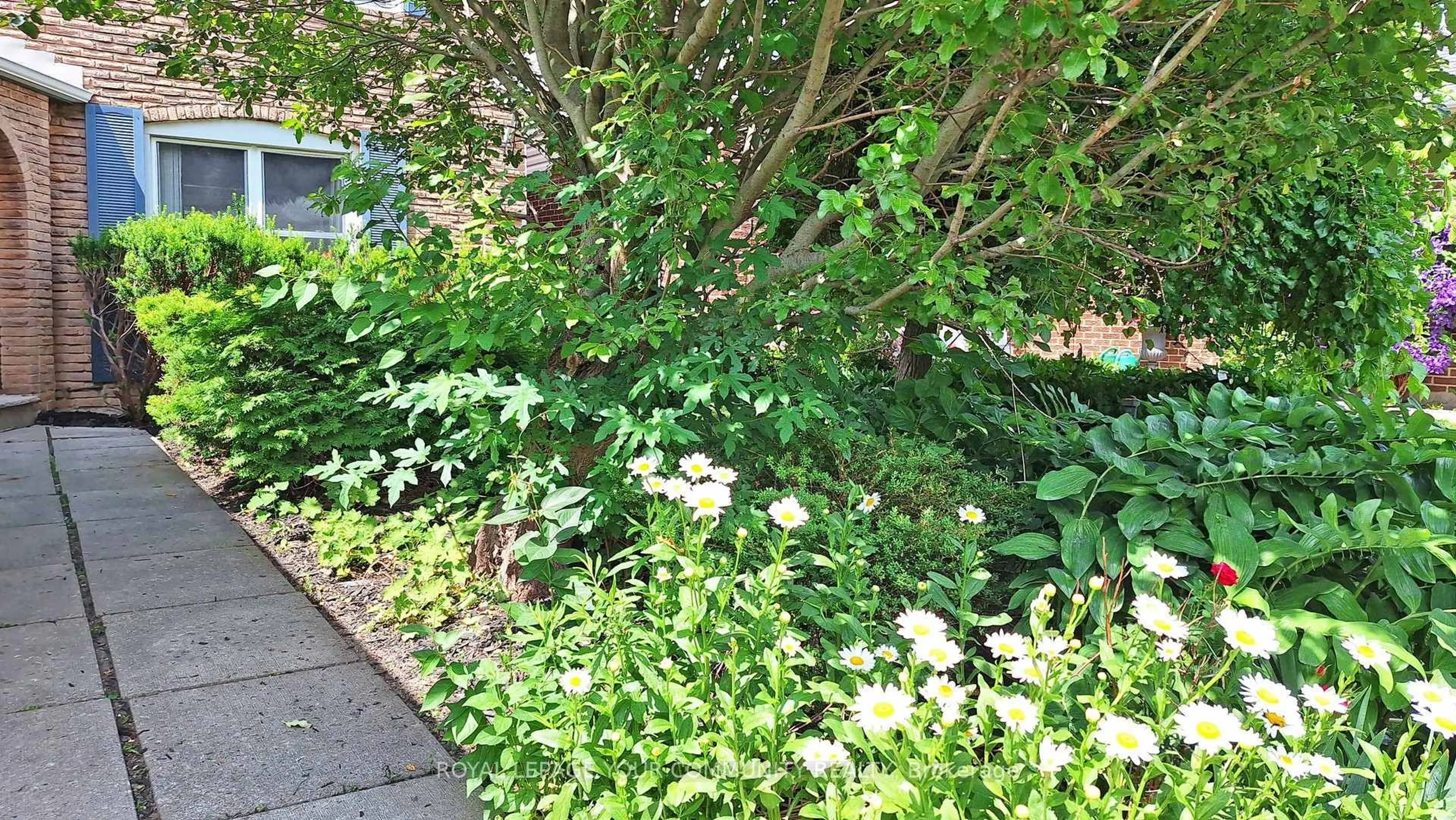 A pic from outside/outdoor area/front of a property/back of a property/a pic from drone, street for 42 Holsworthy Cres, Markham Ontario L3T 4C6