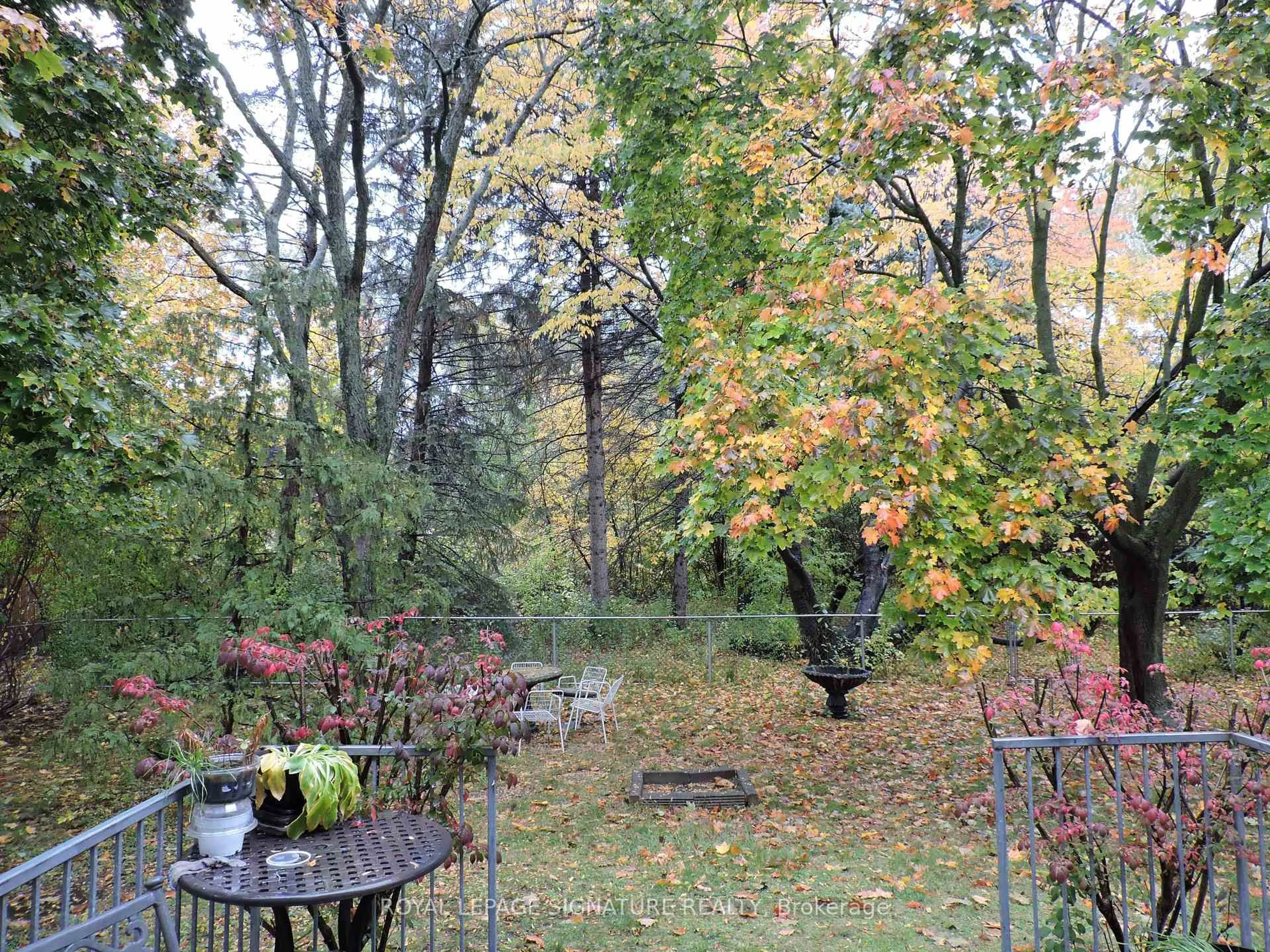 Patio, forest/trees view for 66 Apricot St, Markham Ontario L3T 1C8