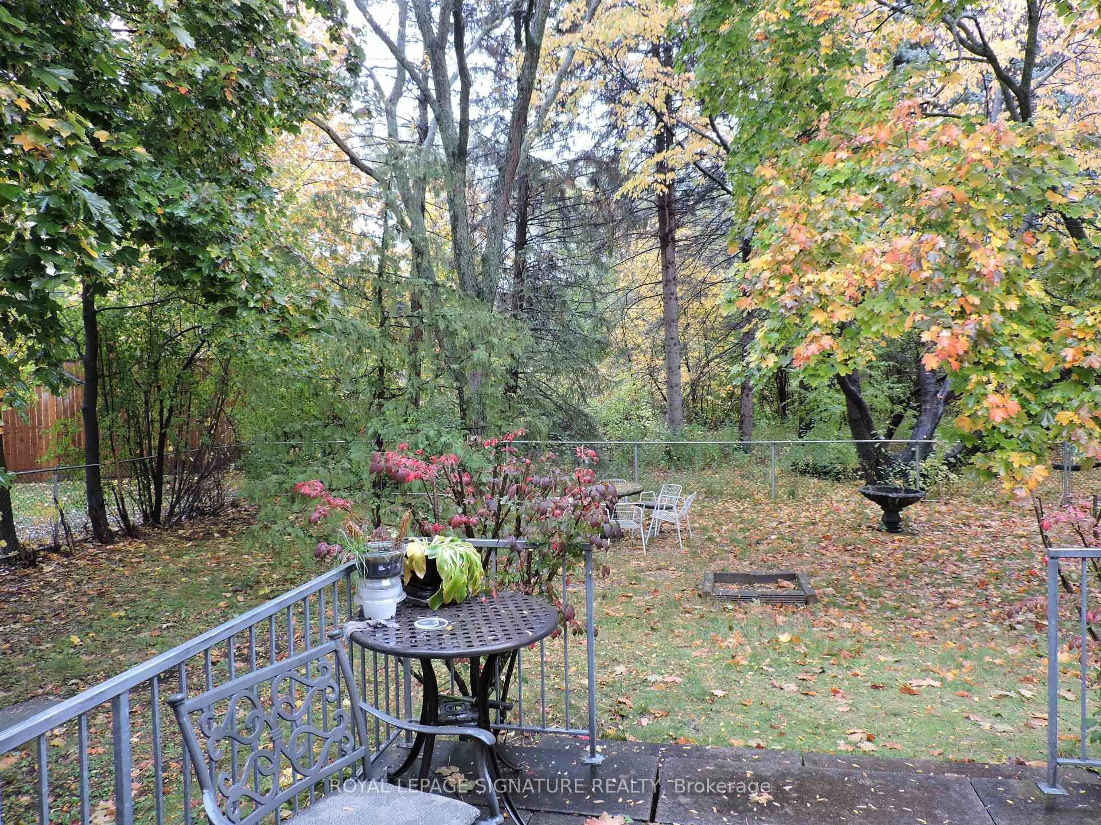 Patio, forest/trees view for 66 Apricot St, Markham Ontario L3T 1C8