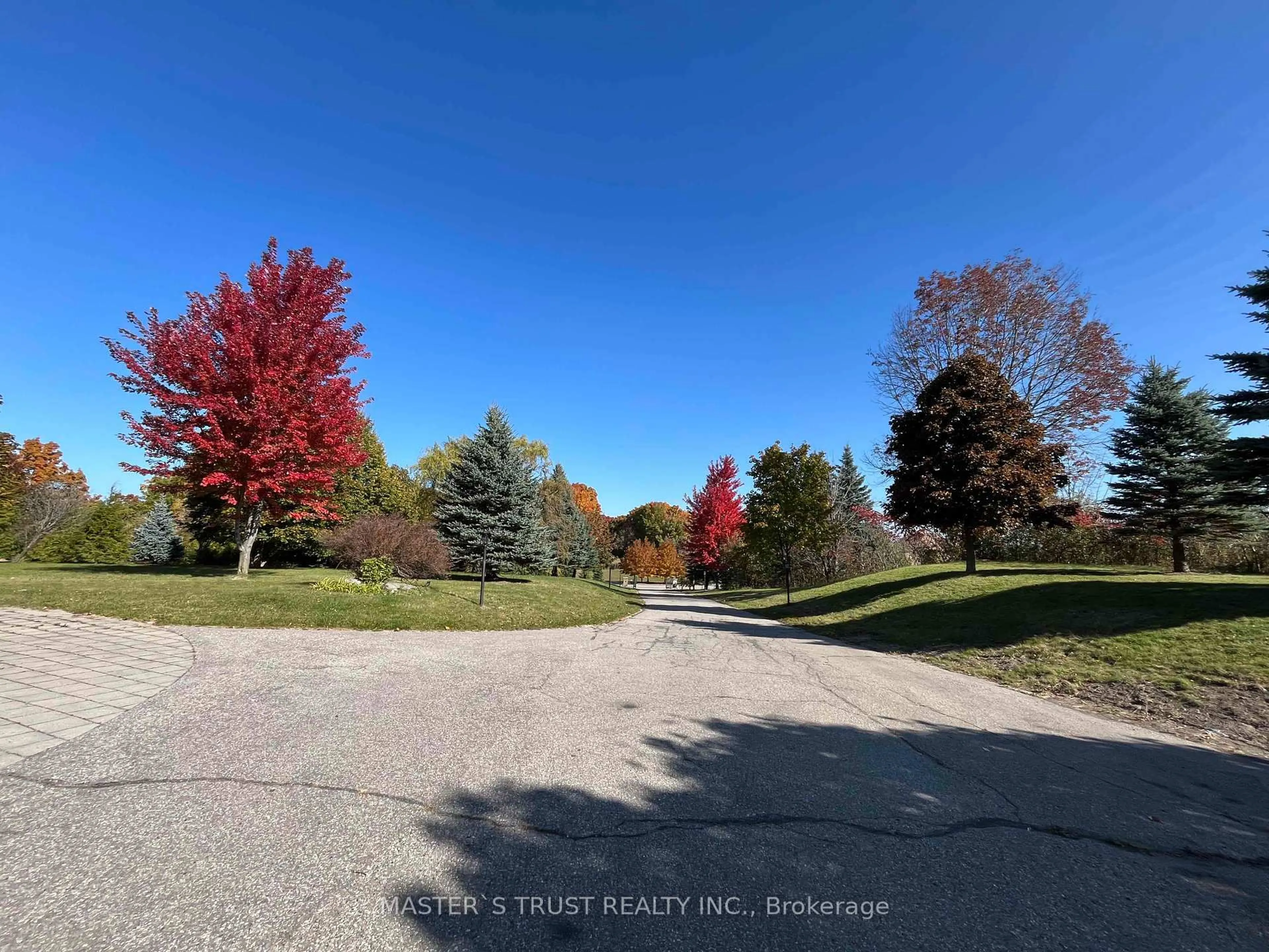 A pic from outside/outdoor area/front of a property/back of a property/a pic from drone, forest/trees view for 17 Ing Crt, Aurora Ontario L4G 3G8