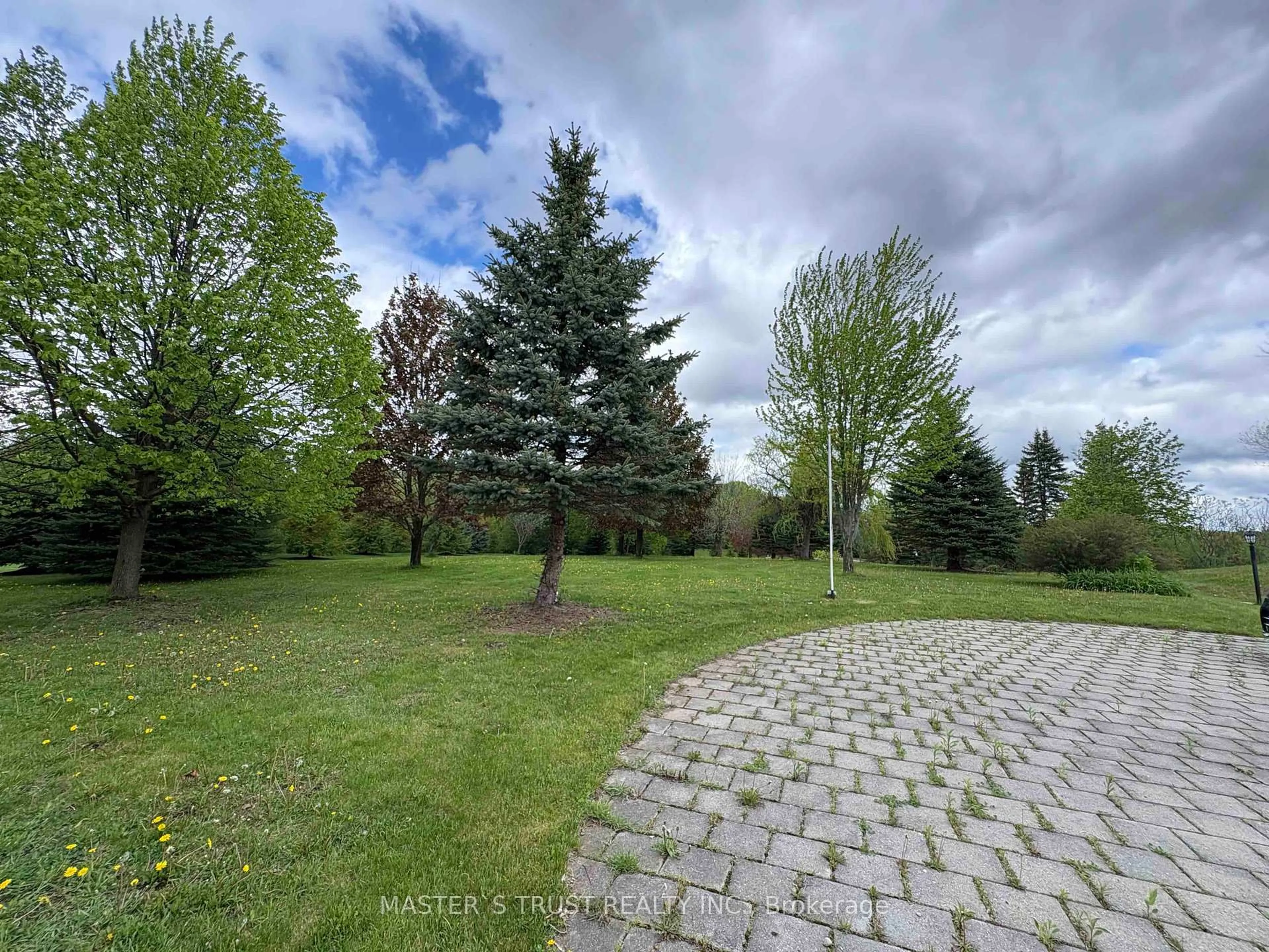 A pic from outside/outdoor area/front of a property/back of a property/a pic from drone, forest/trees view for 17 Ing Crt, Aurora Ontario L4G 3G8