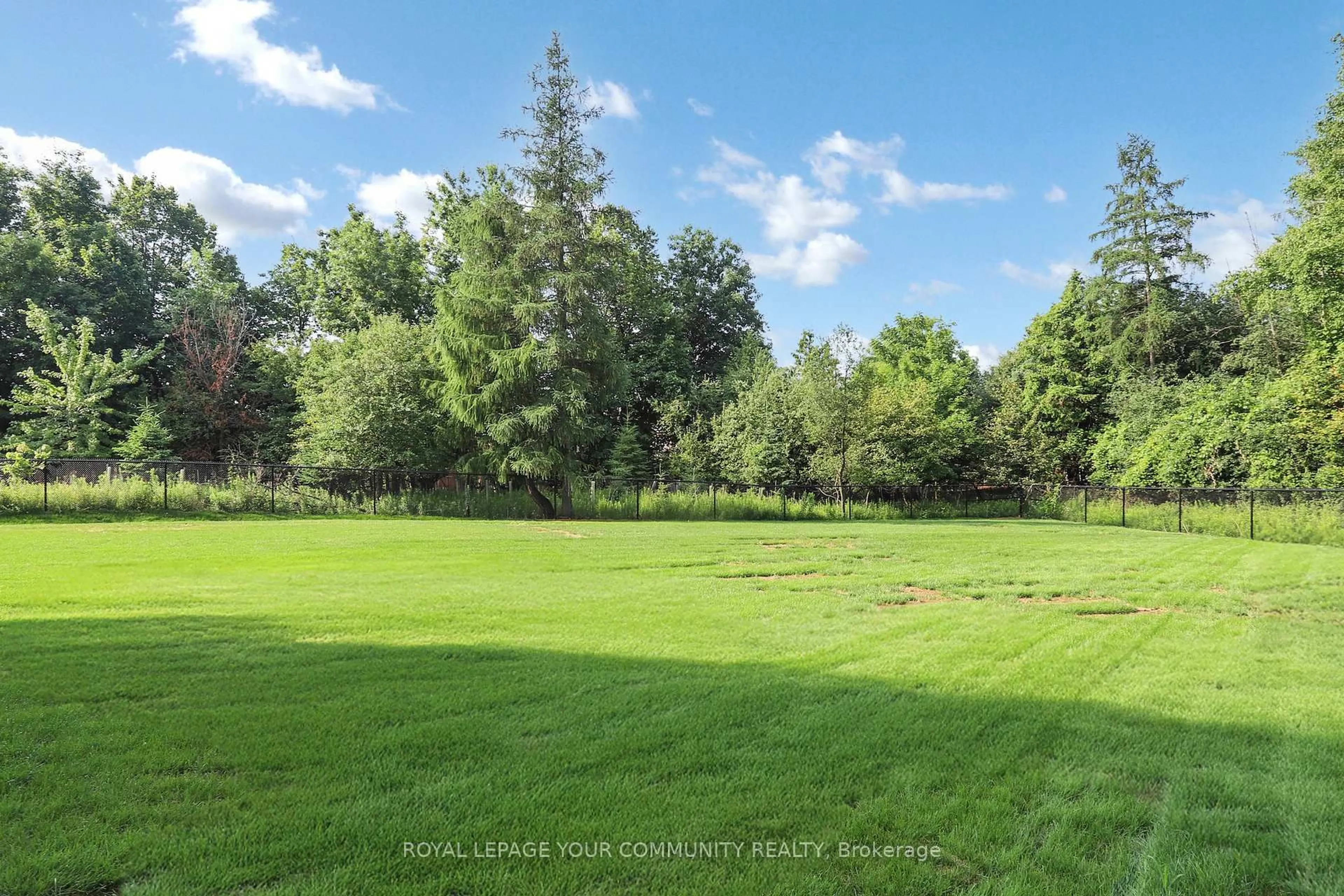 A pic from outside/outdoor area/front of a property/back of a property/a pic from drone, forest/trees view for 61 Milky Way Dr, Richmond Hill Ontario L4C 4M9