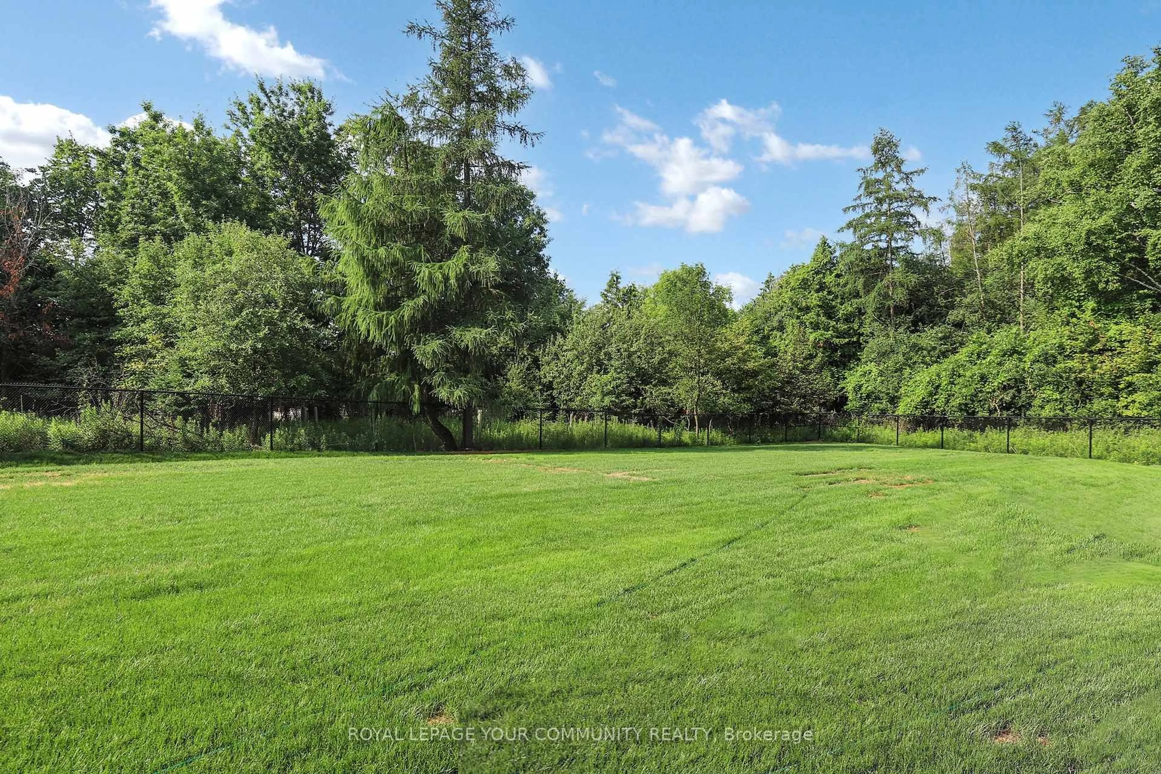A pic from outside/outdoor area/front of a property/back of a property/a pic from drone, forest/trees view for 61 Milky Way Dr, Richmond Hill Ontario L4C 4M9