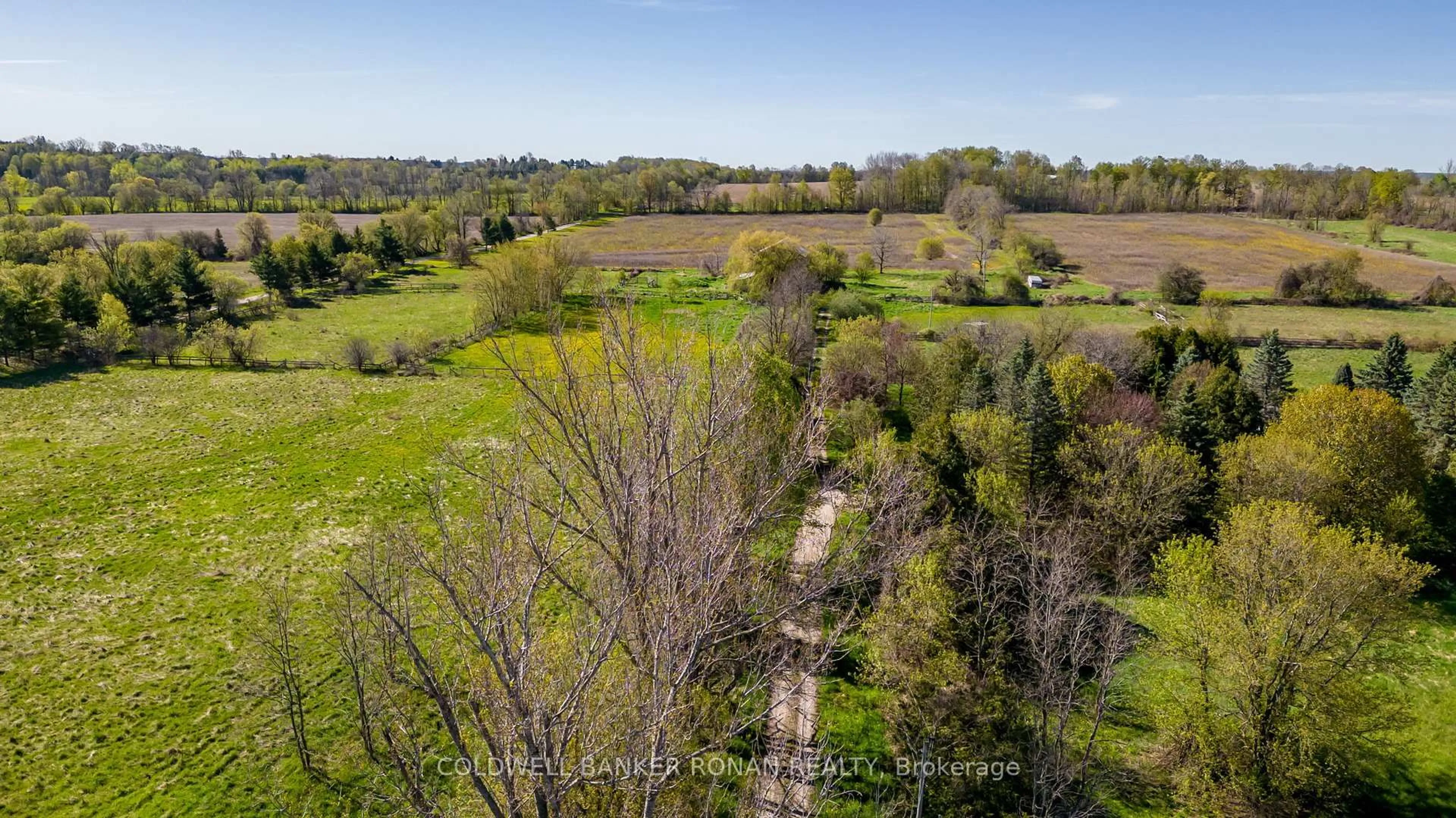 A pic from outside/outdoor area/front of a property/back of a property/a pic from drone, forest/trees view for 8689 County Rd 1, Adjala-Tosorontio Ontario L0G 1L0